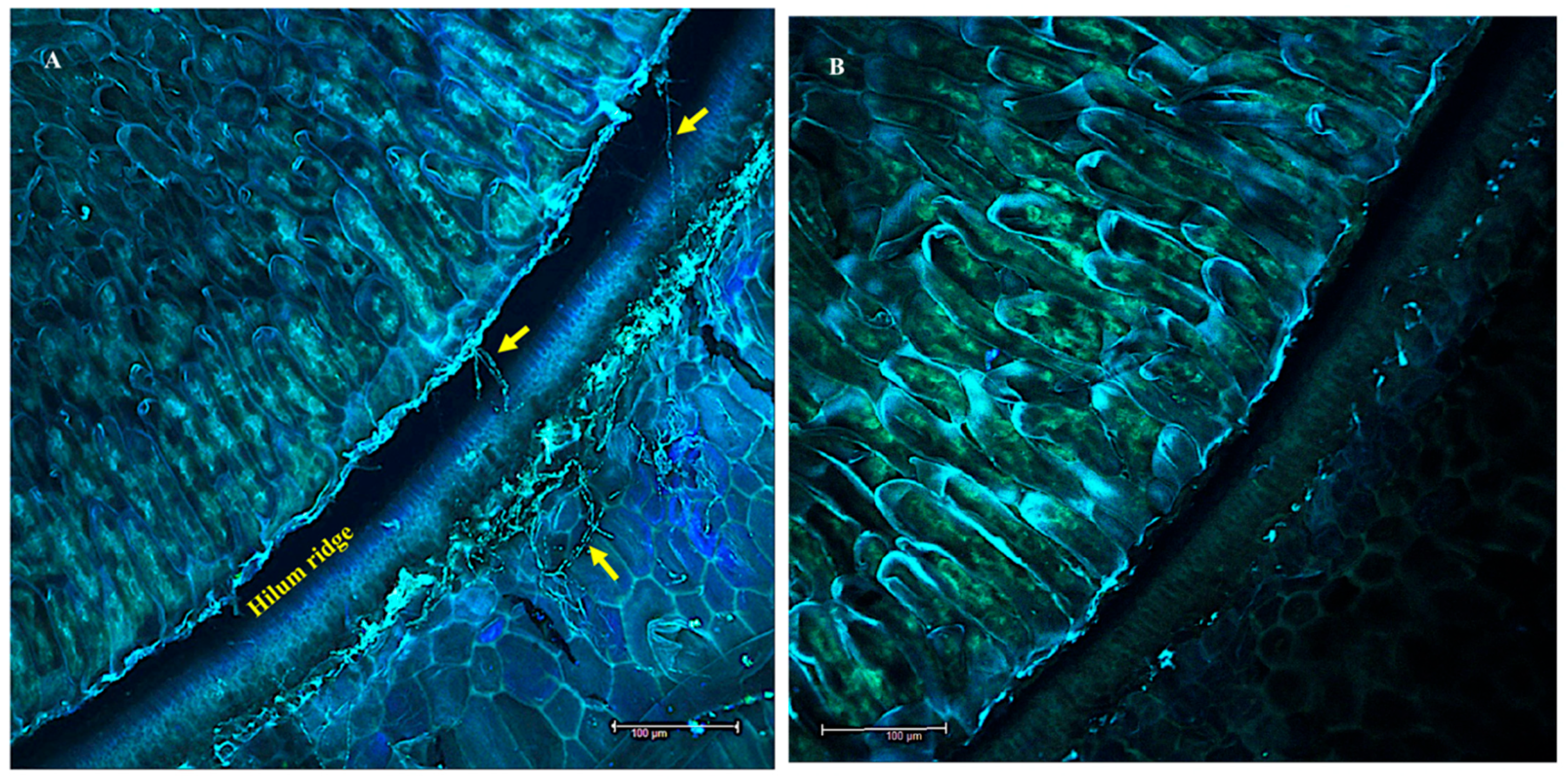 Microorganisms 10 00545 g002