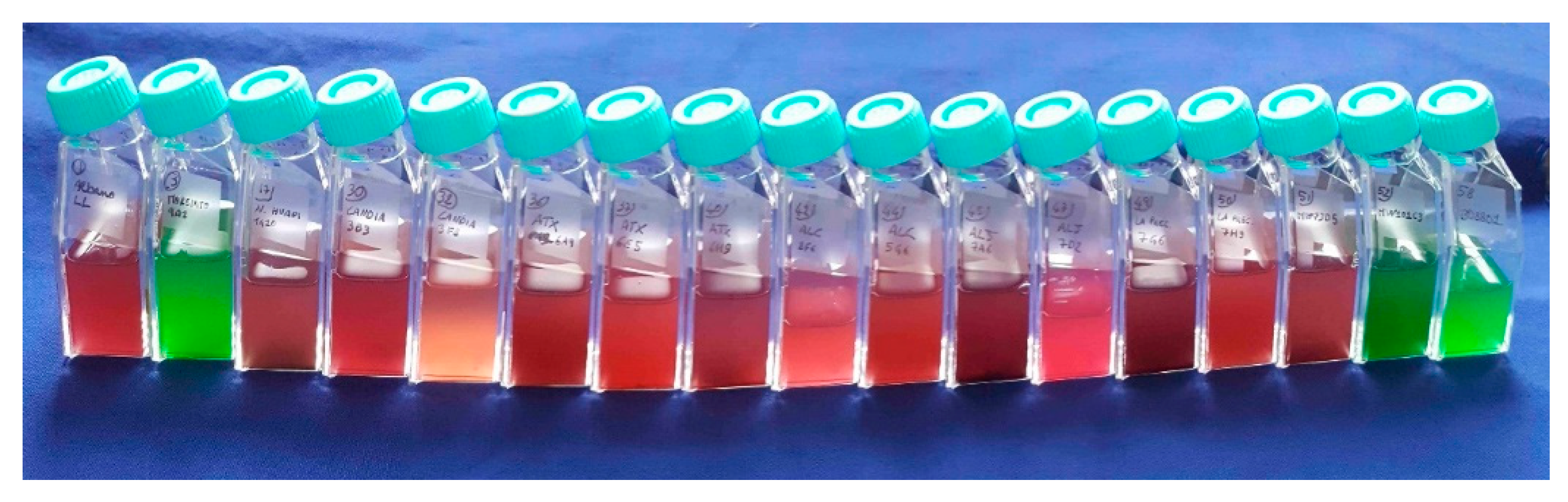 Microorganisms 10 00546 g004