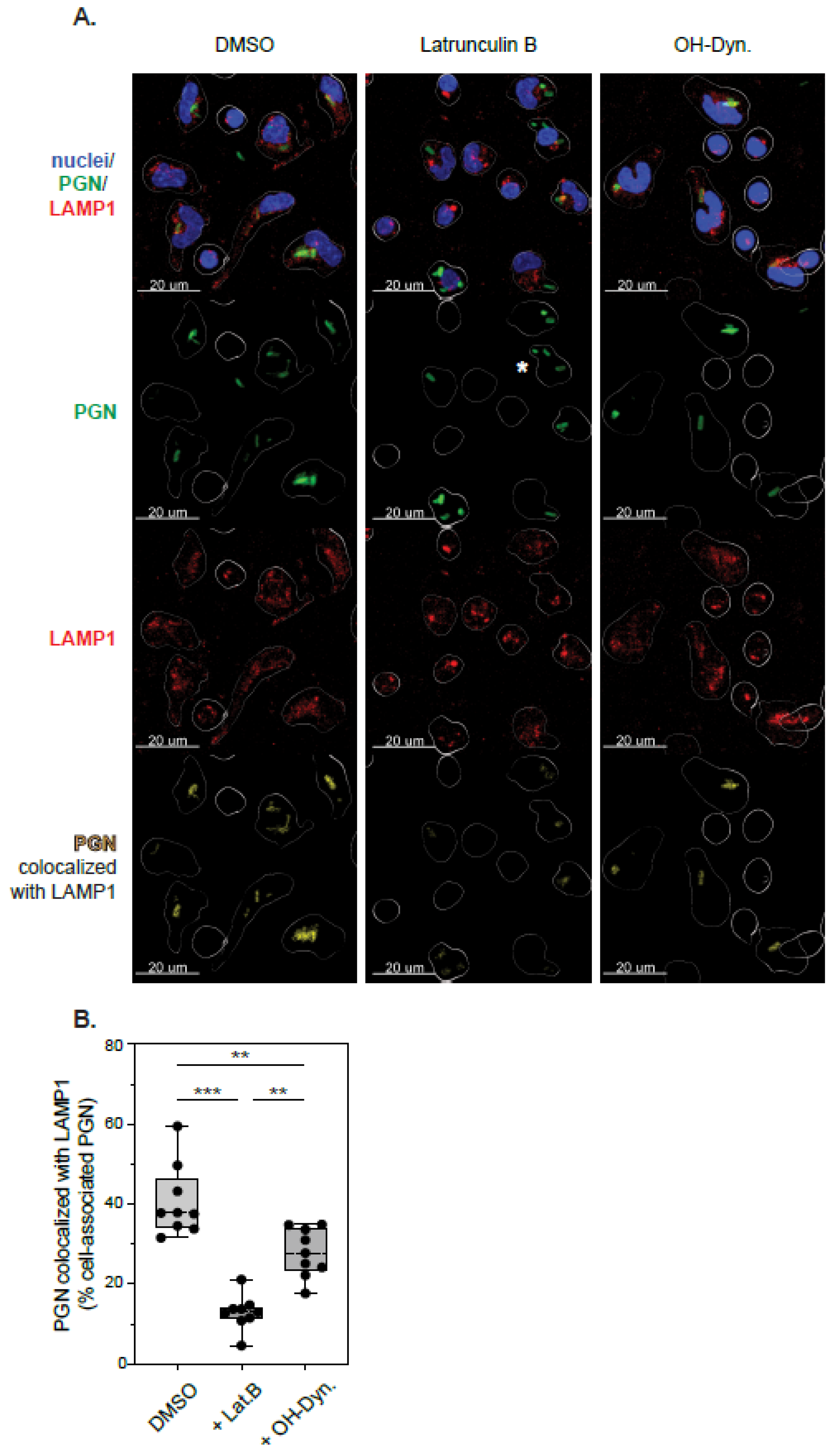 Microorganisms 10 00552 g005 Microorganisms 10 00552 g005