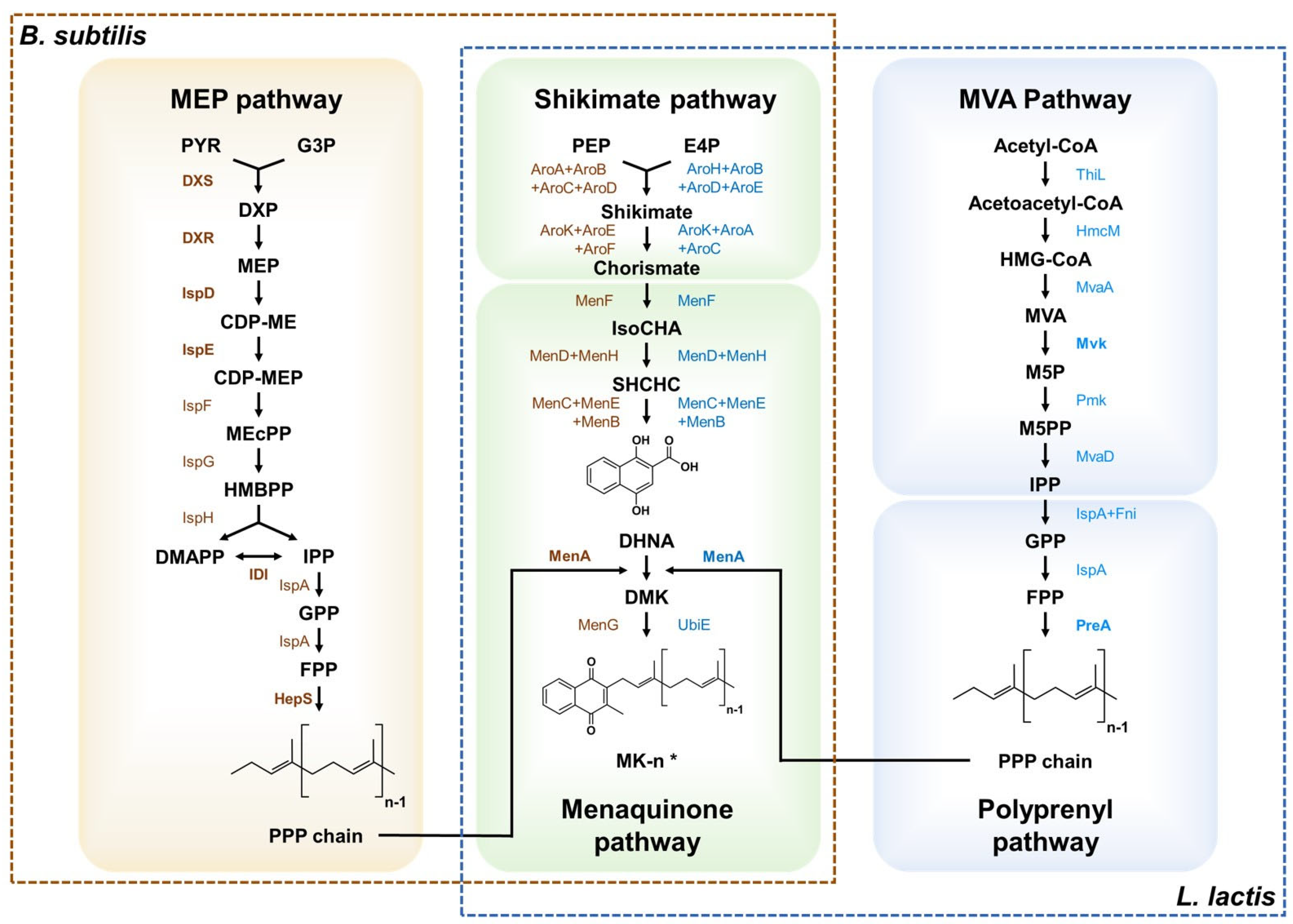Microorganisms 10 00554 g002
