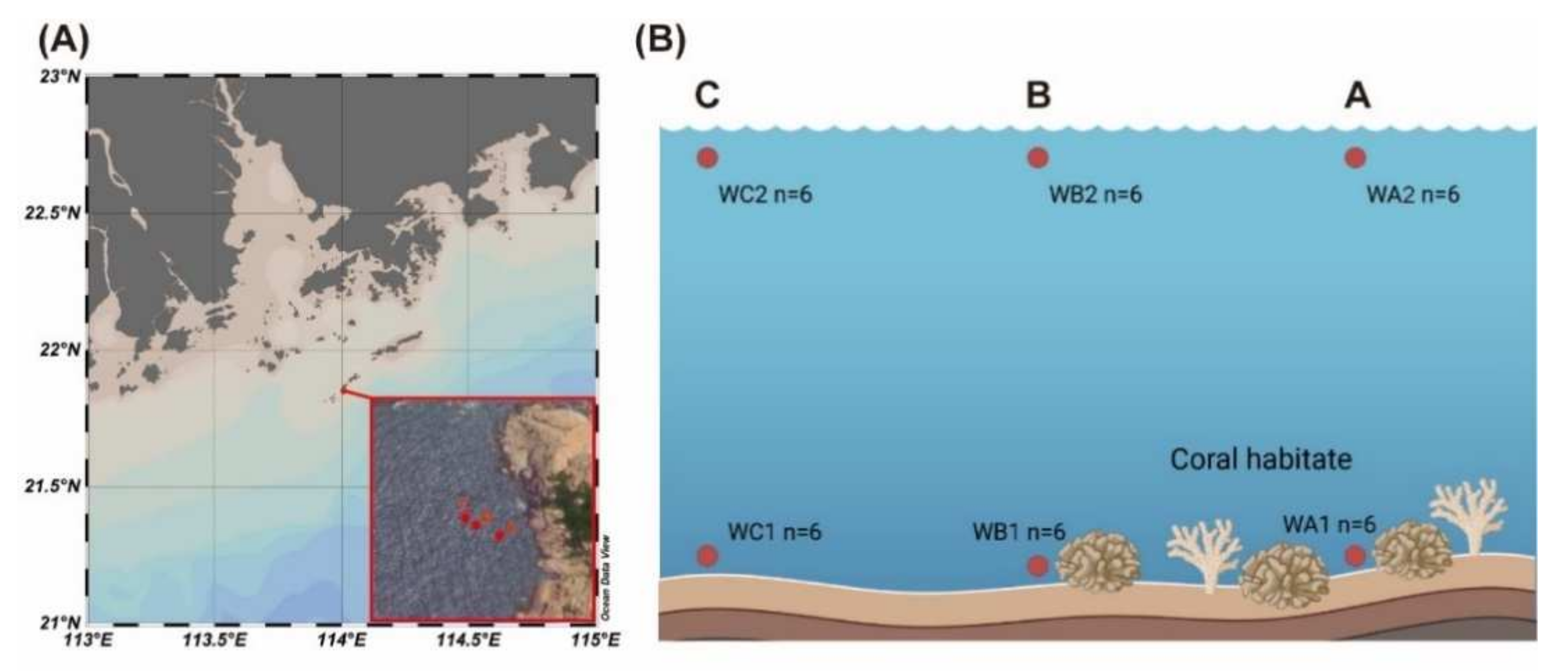 Microorganisms 10 00558 g001