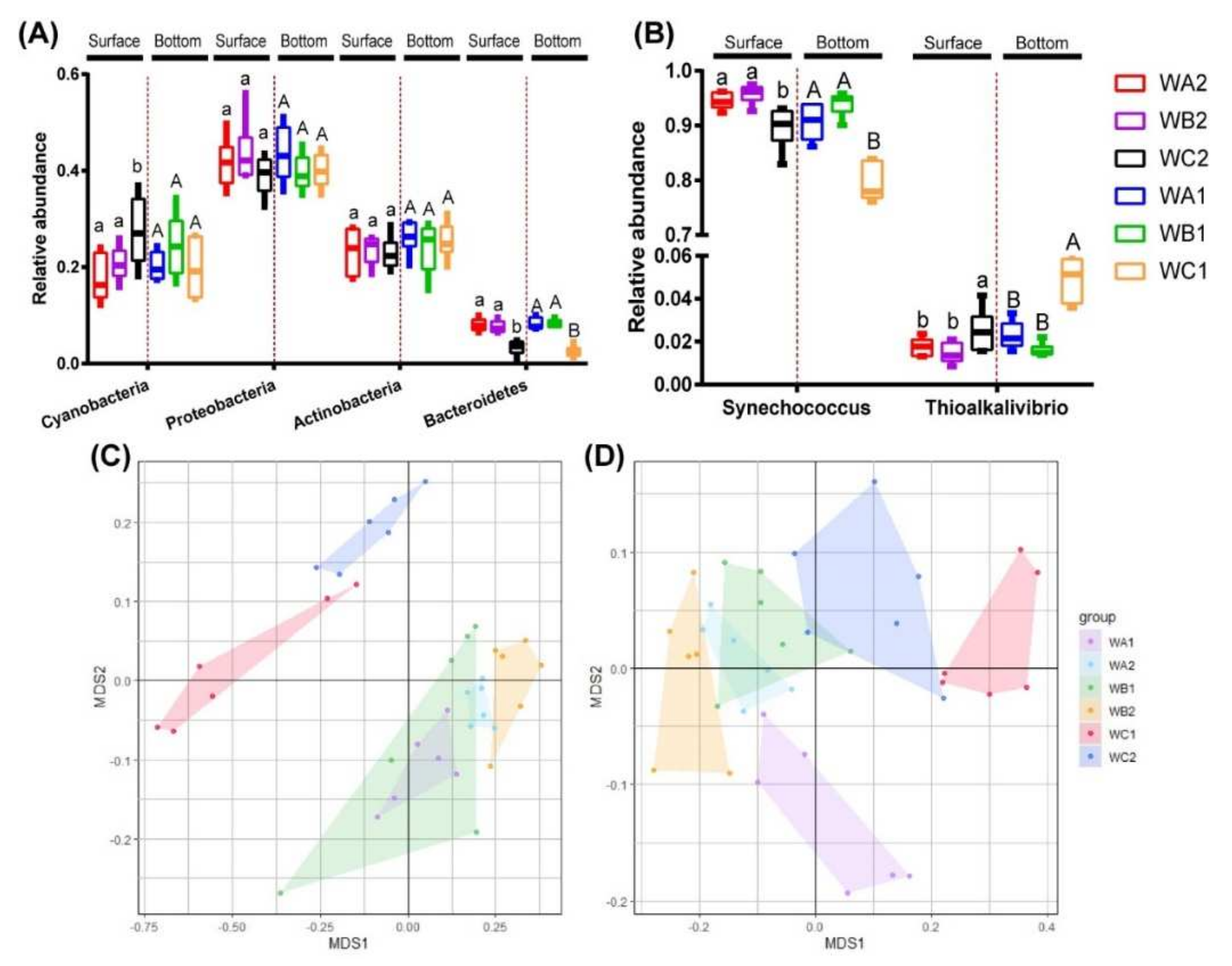 Microorganisms 10 00558 g002