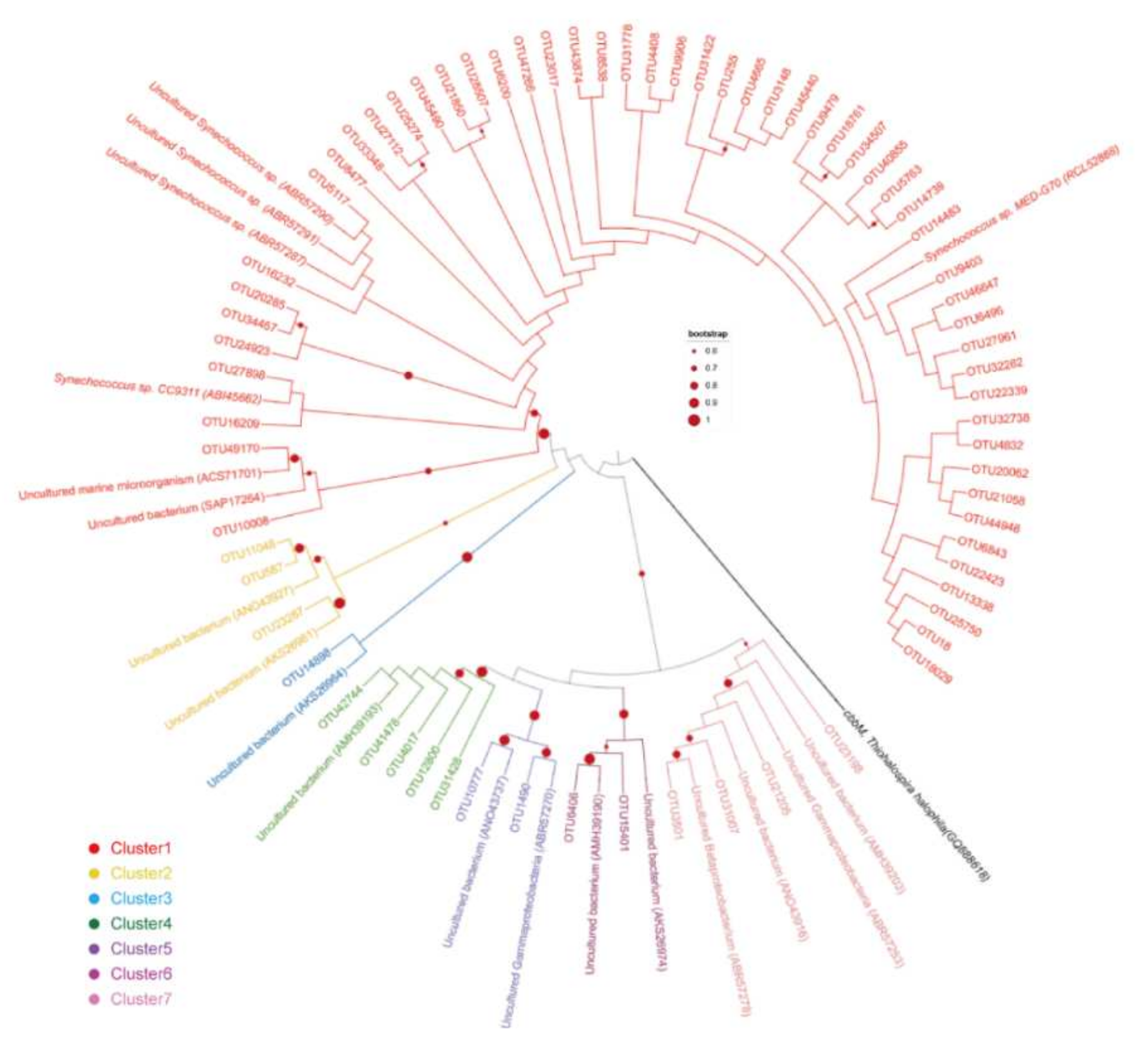 Microorganisms 10 00558 g004