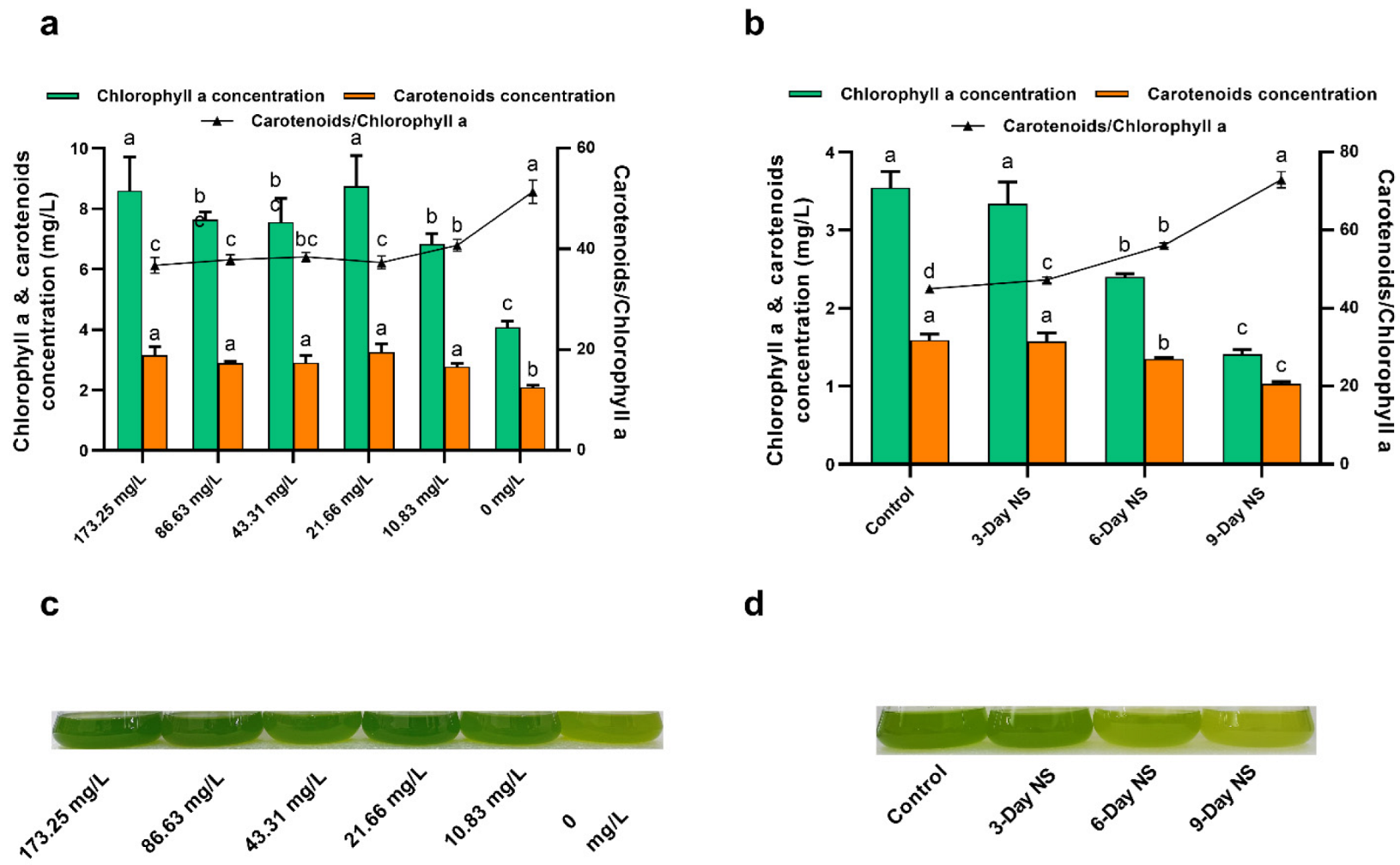 Microorganisms 10 00566 g002
