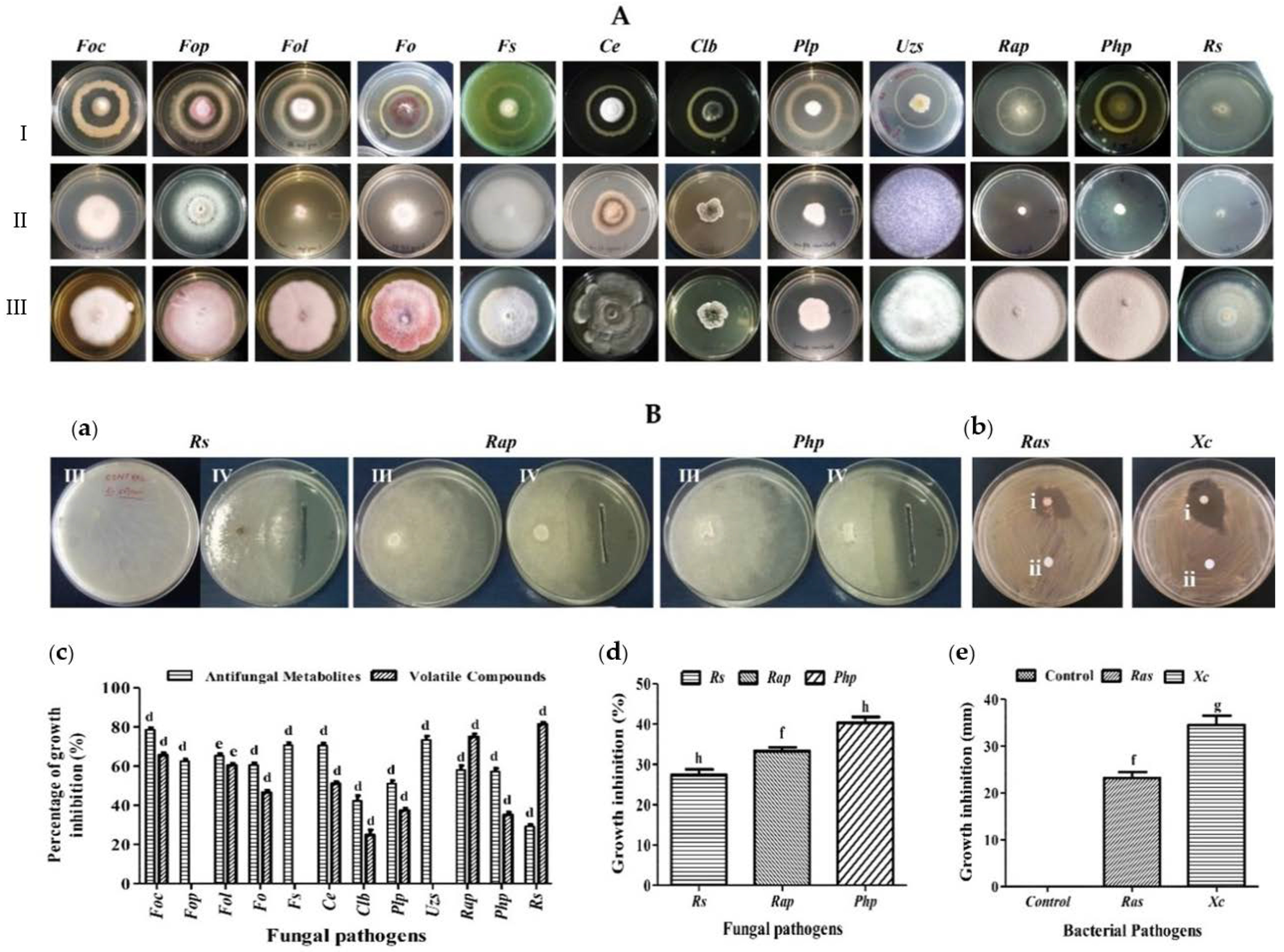 Microorganisms 10 00568 g002 Microorganisms 10 00568 g002