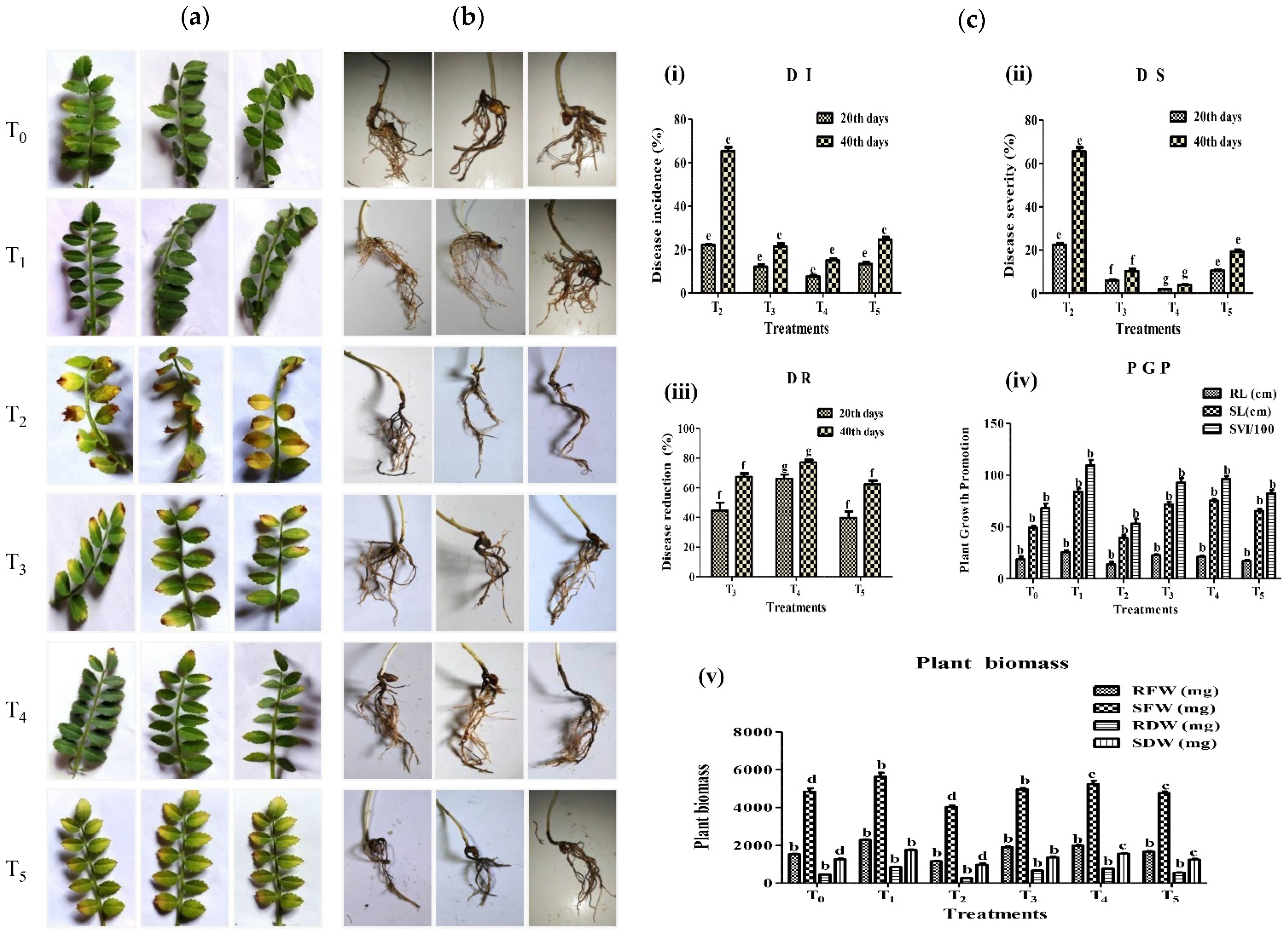 Microorganisms 10 00568 g006 Microorganisms 10 00568 g006
