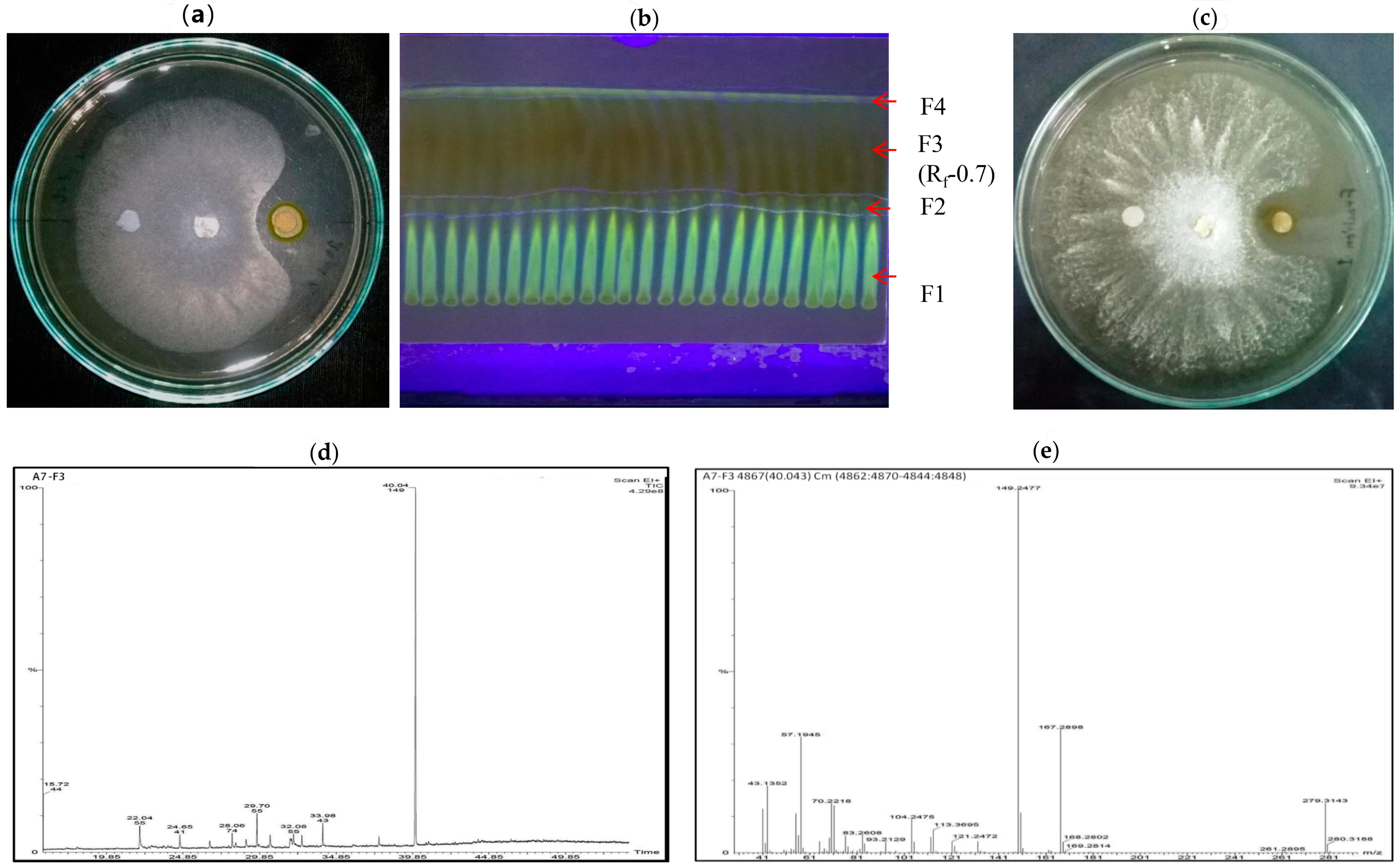 Microorganisms 10 00568 g007 Microorganisms 10 00568 g007