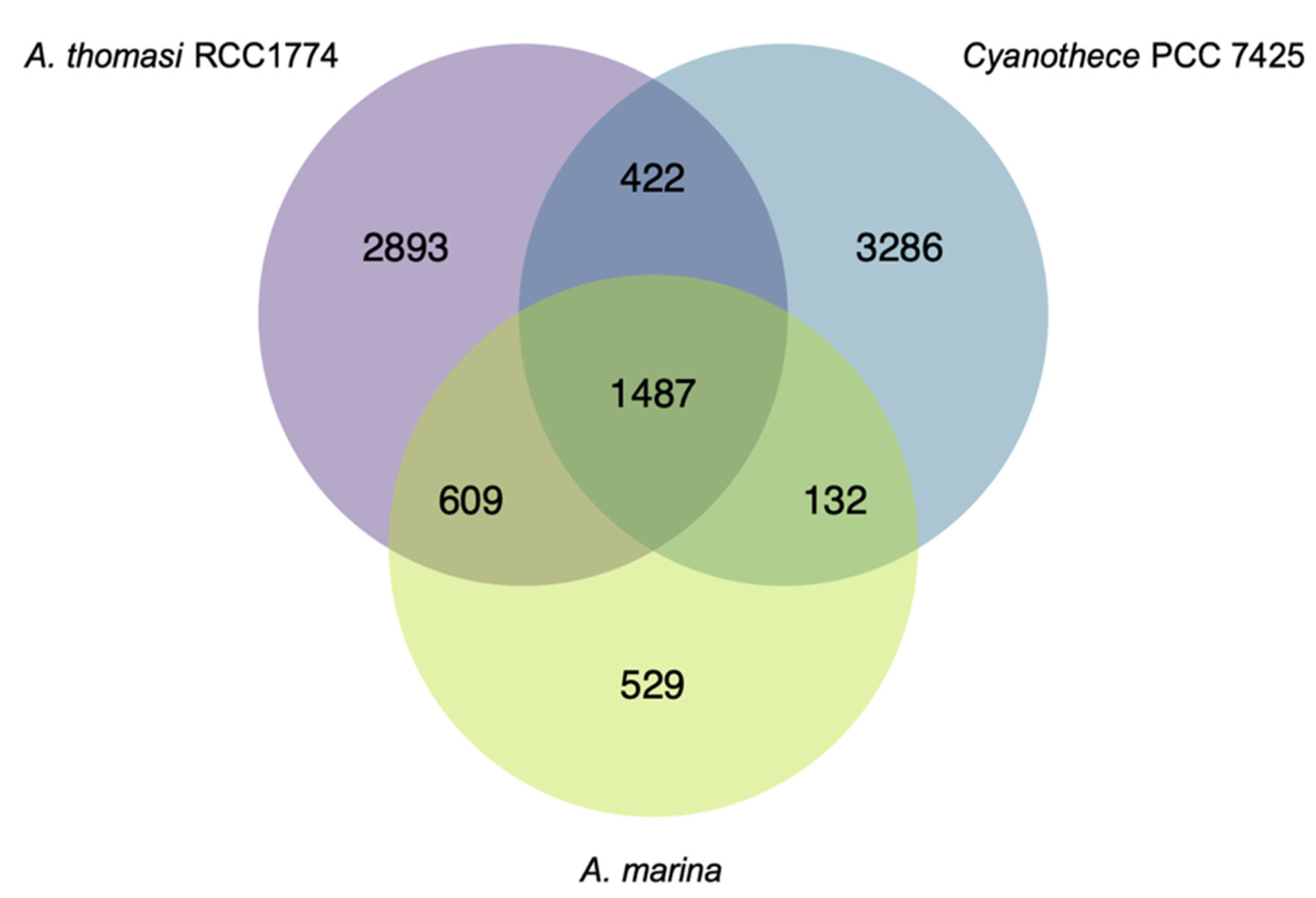 Microorganisms 10 00569 g002