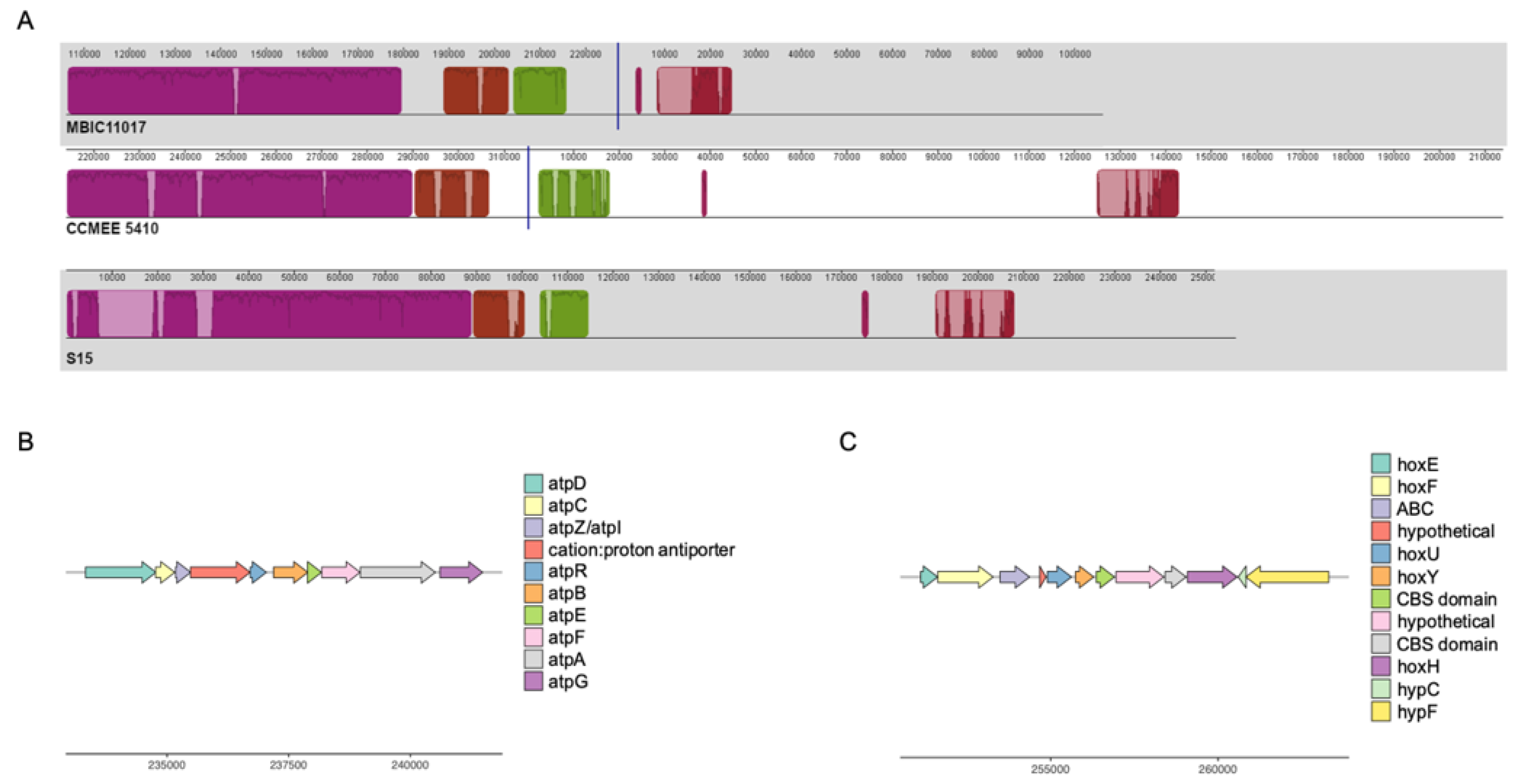 Microorganisms 10 00569 g003