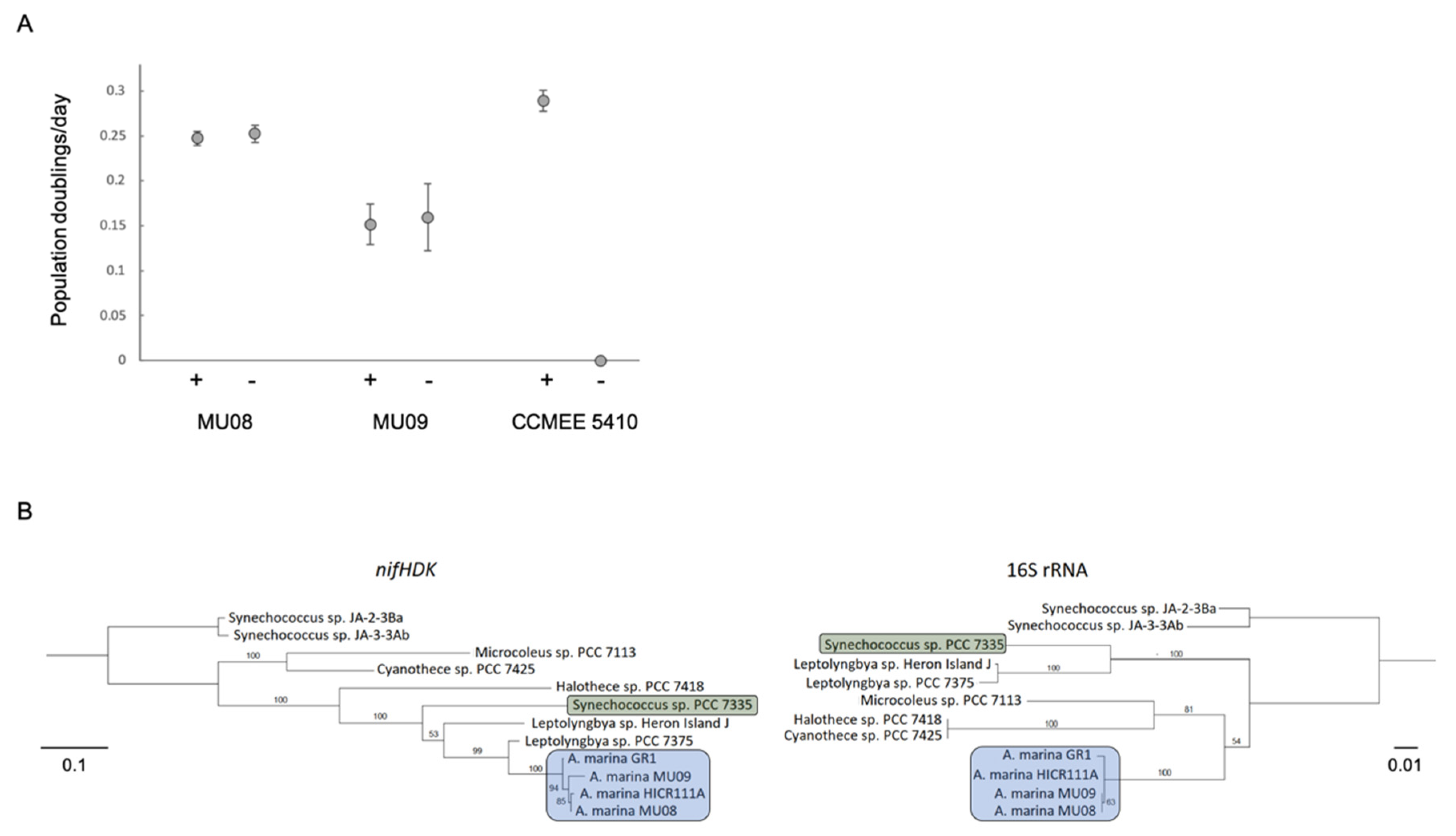 Microorganisms 10 00569 g004