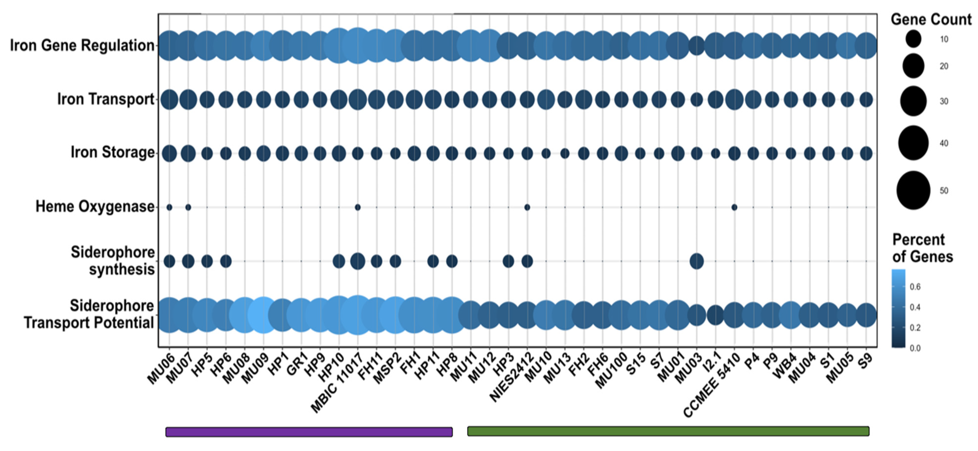 Microorganisms 10 00569 g006
