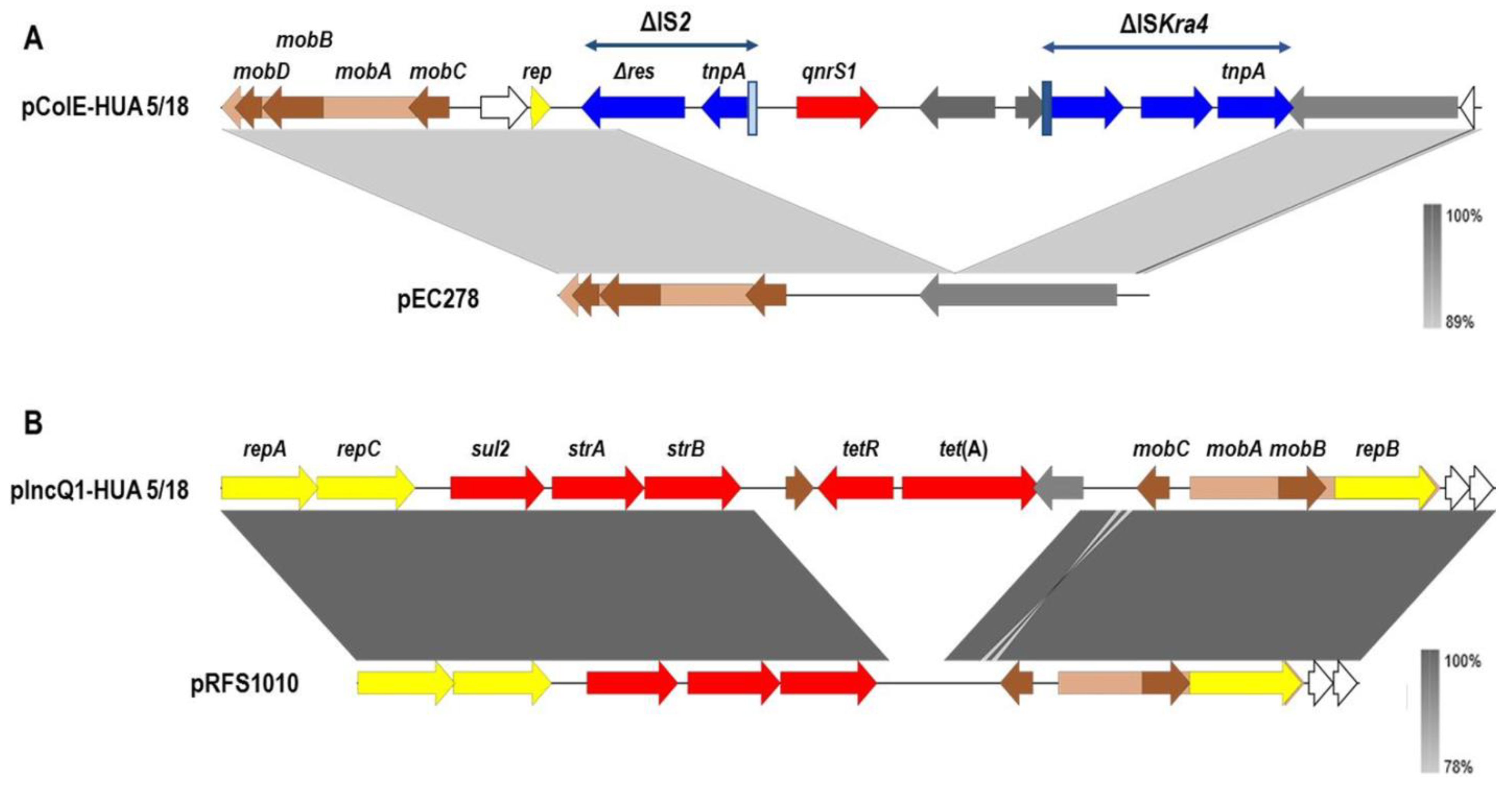 Microorganisms 10 00579 g001 Microorganisms 10 00579 g001