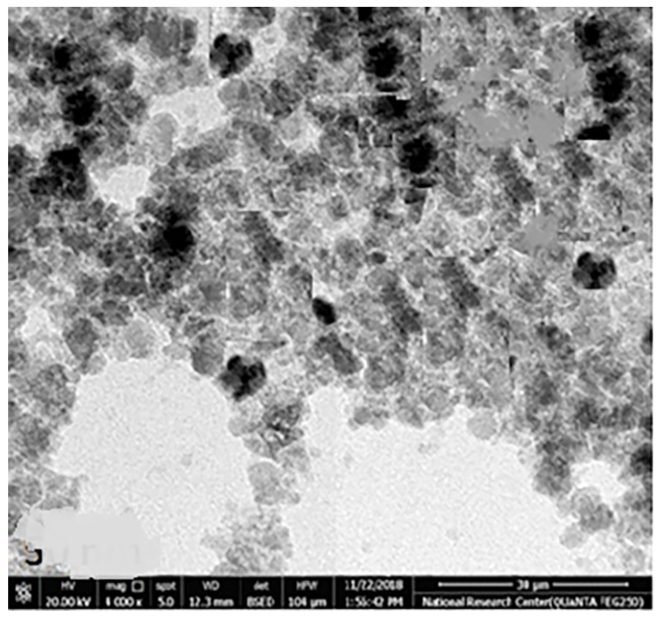Microorganisms 10 00581 g008