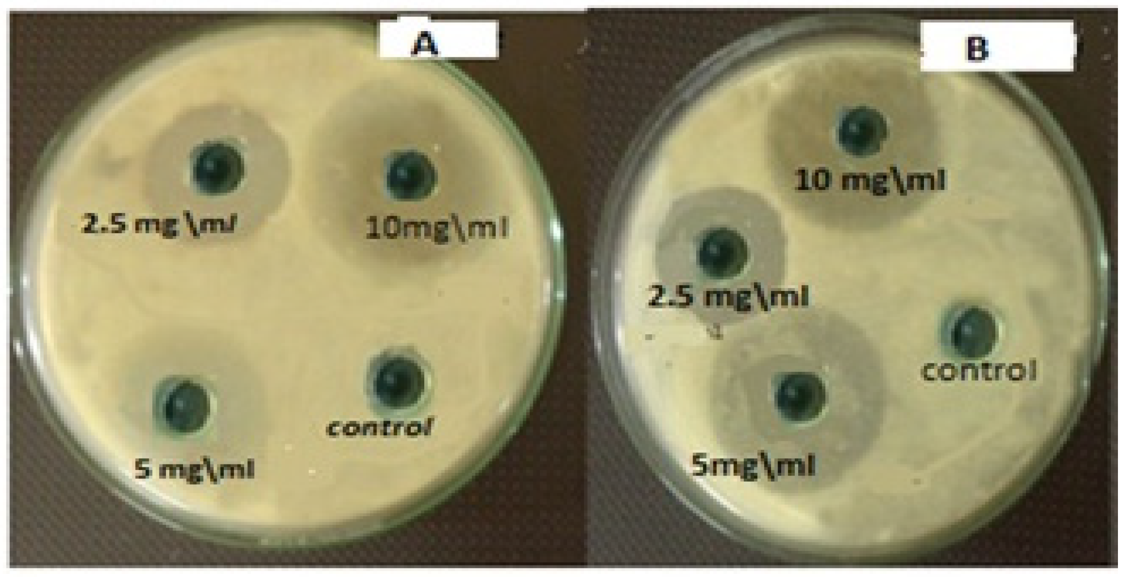 Microorganisms 10 00581 g010