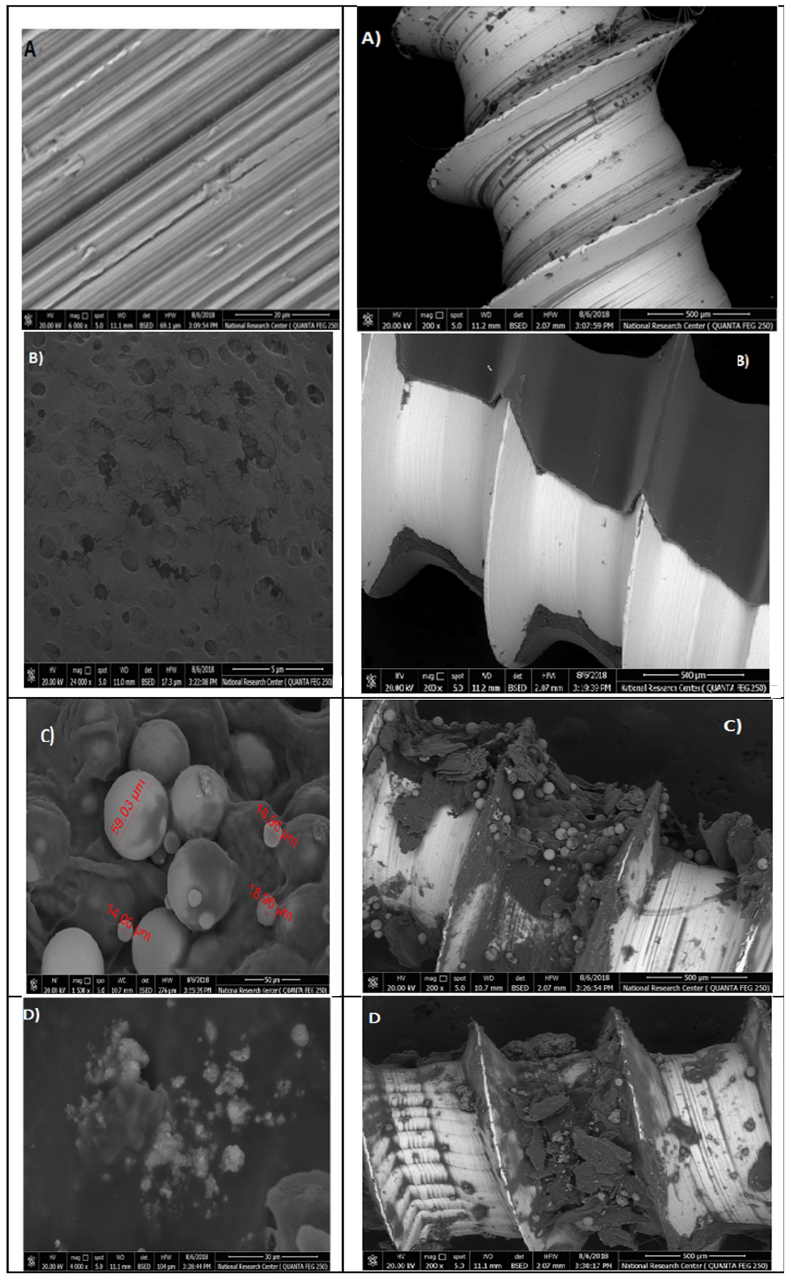 Microorganisms 10 00581 g015