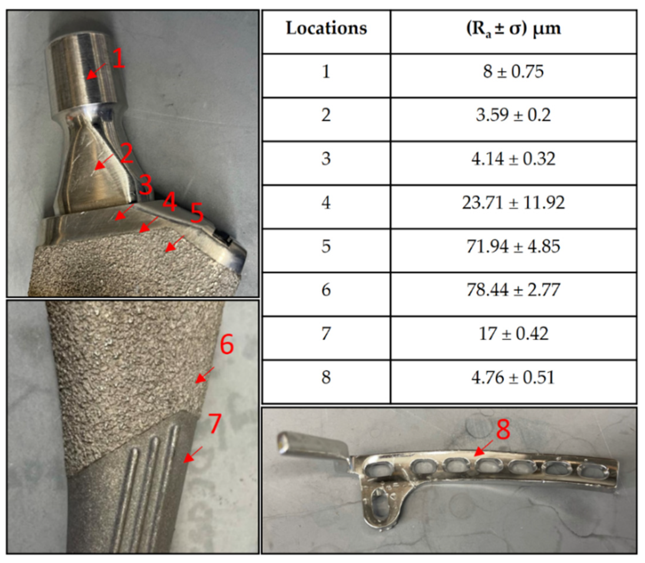 Microorganisms 10 00586 g001