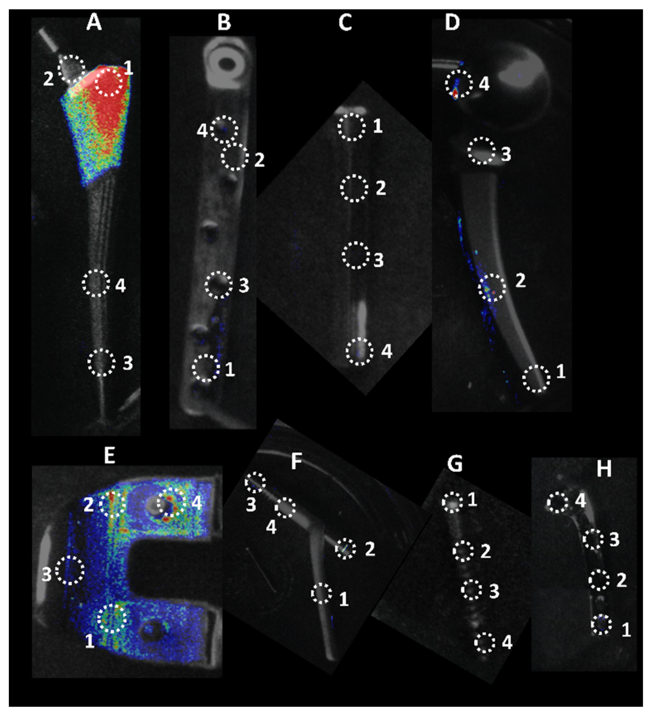 Microorganisms 10 00586 g003