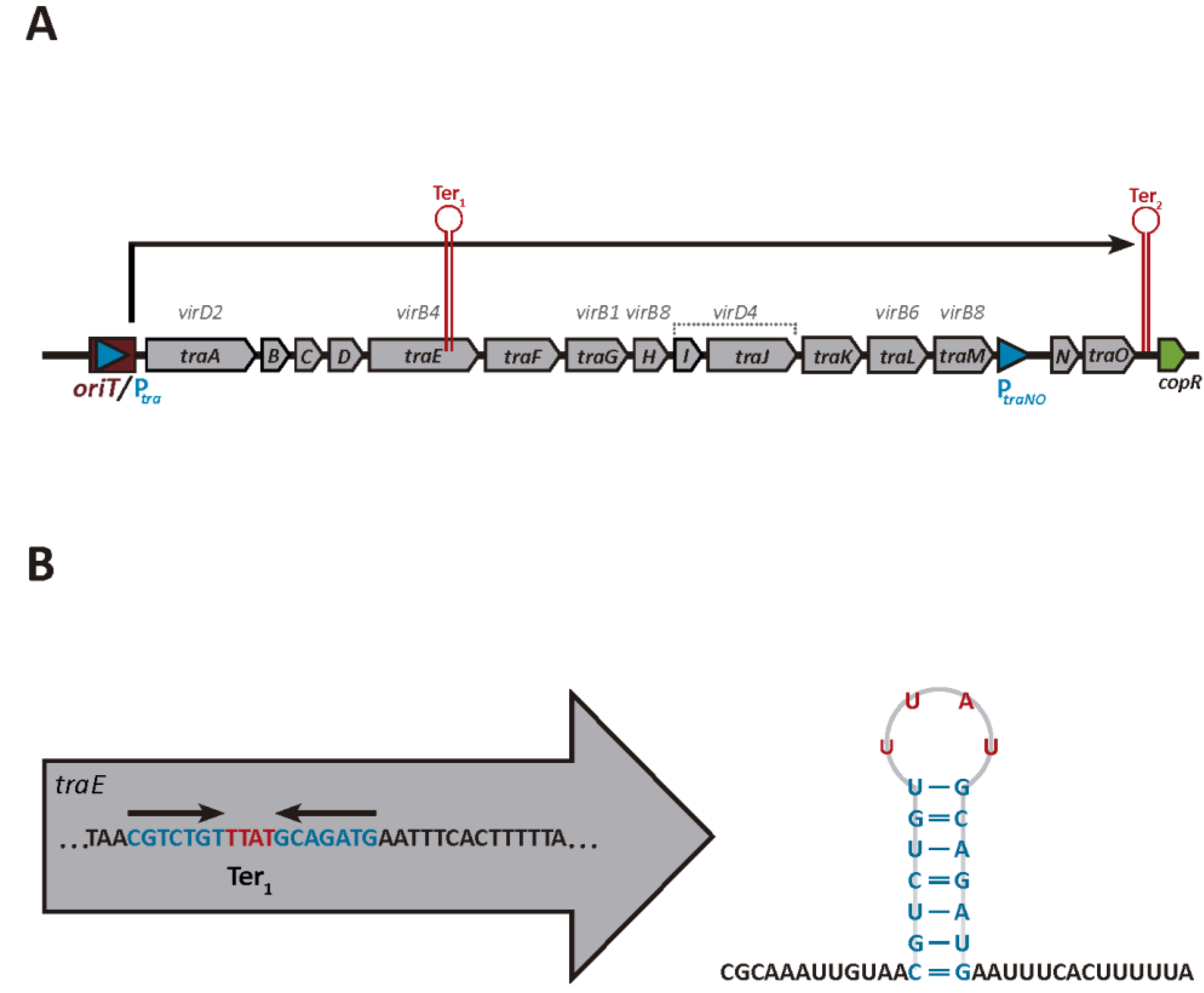 Microorganisms 10 00587 g001