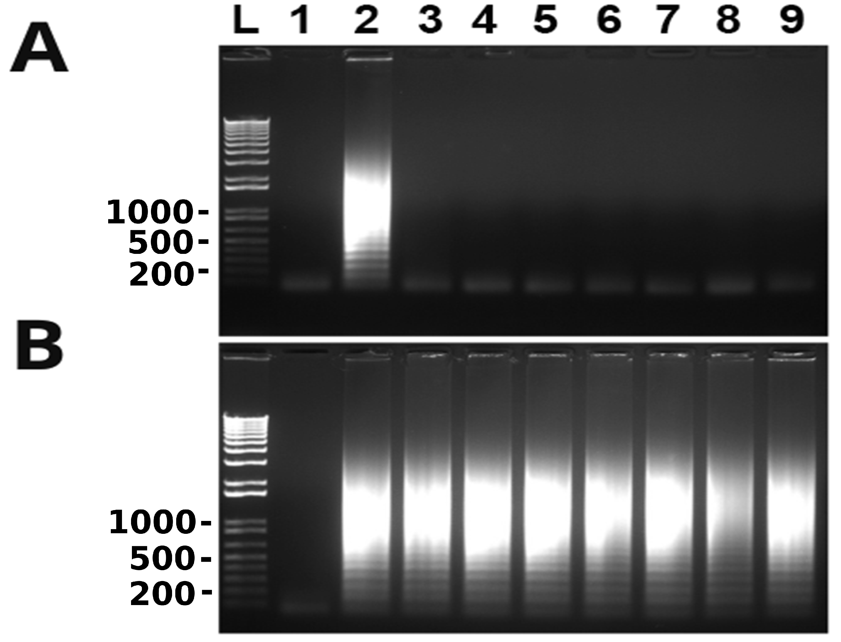 Te Buffer Recipe For Primer Dilution Dandk Organizer