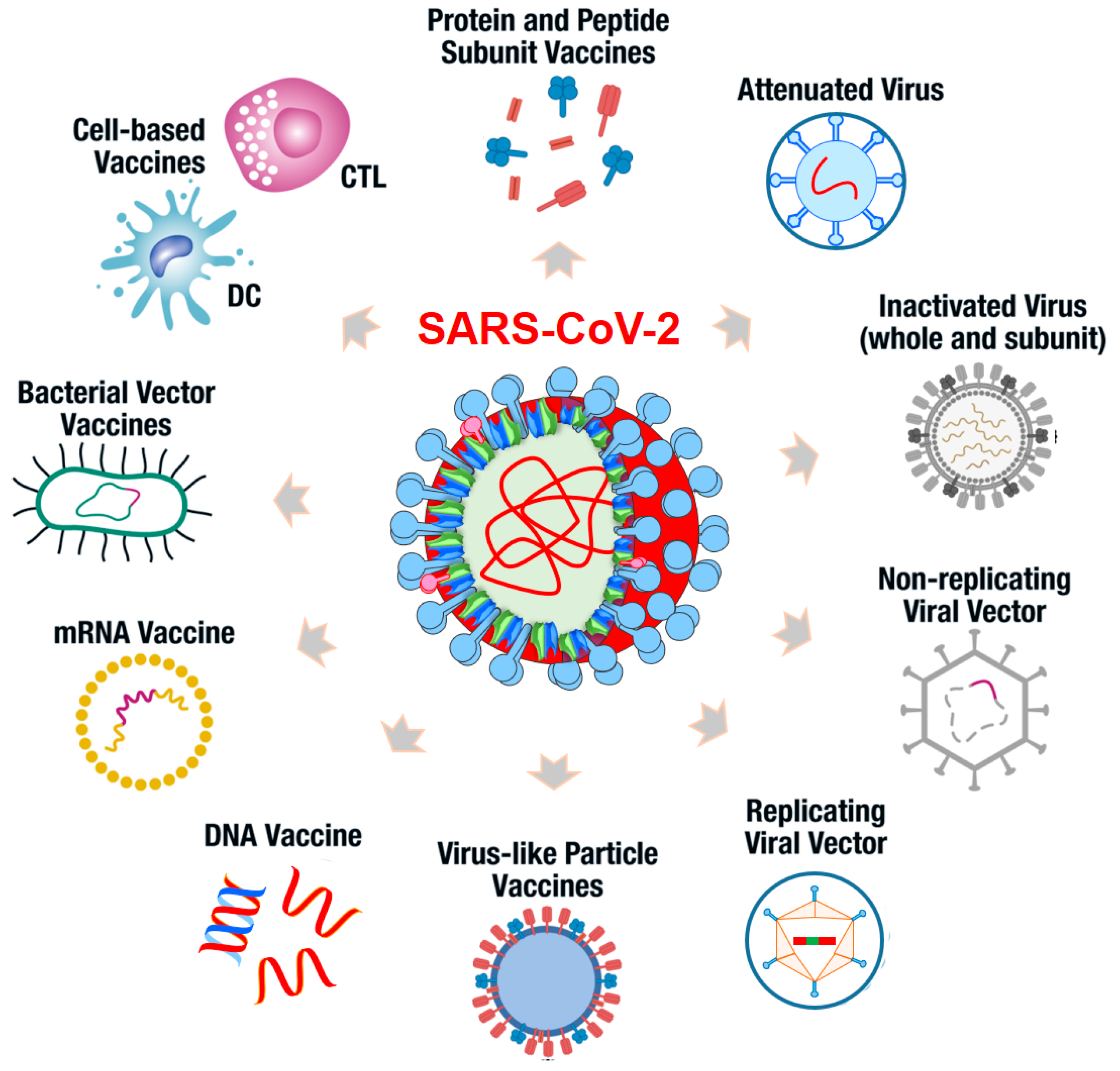 Microorganisms 10 00598 g004 550