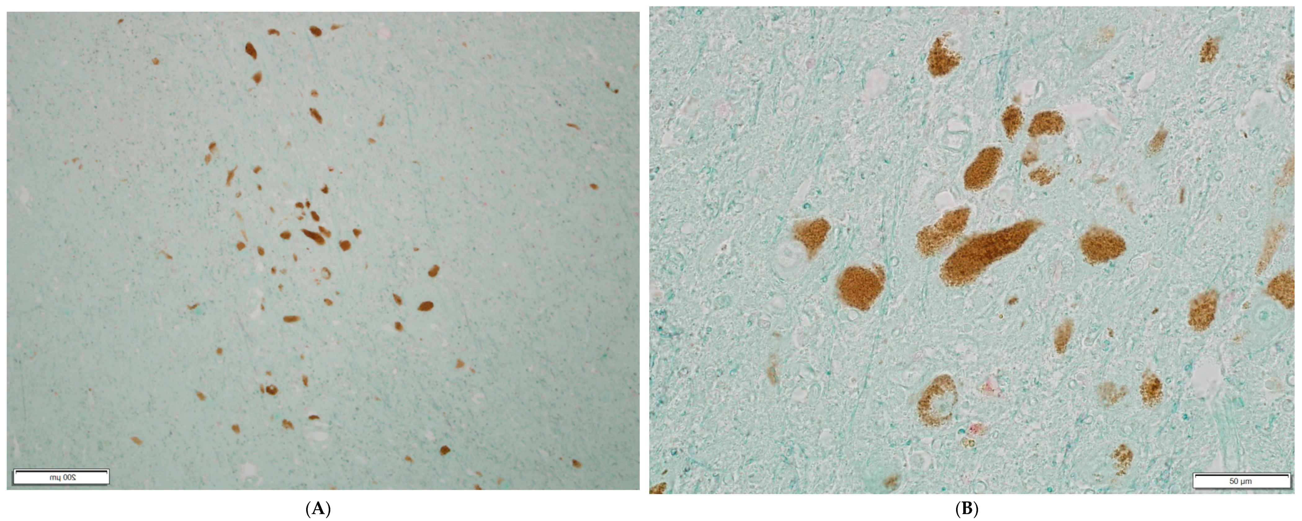 Microorganisms 10 00599 g002