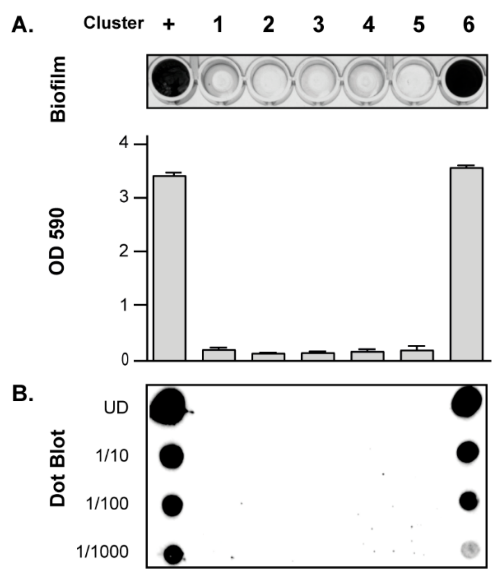 Microorganisms 10 00600 g003