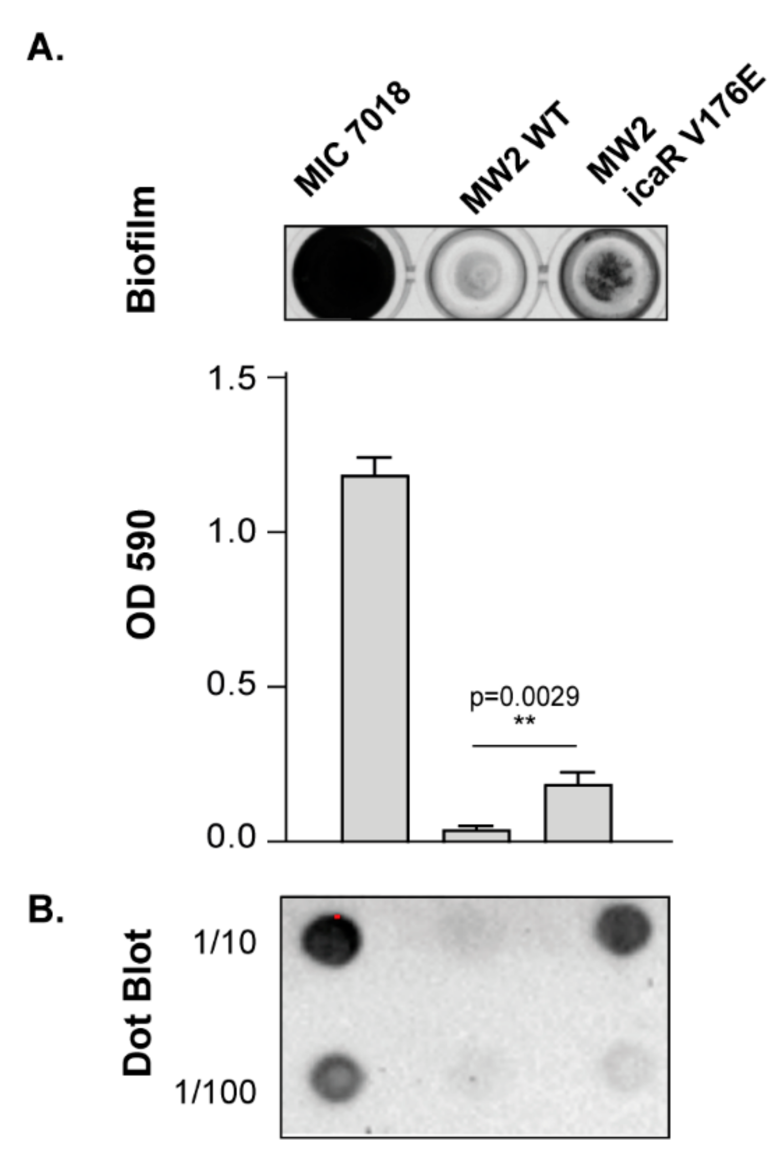 Microorganisms 10 00600 g005