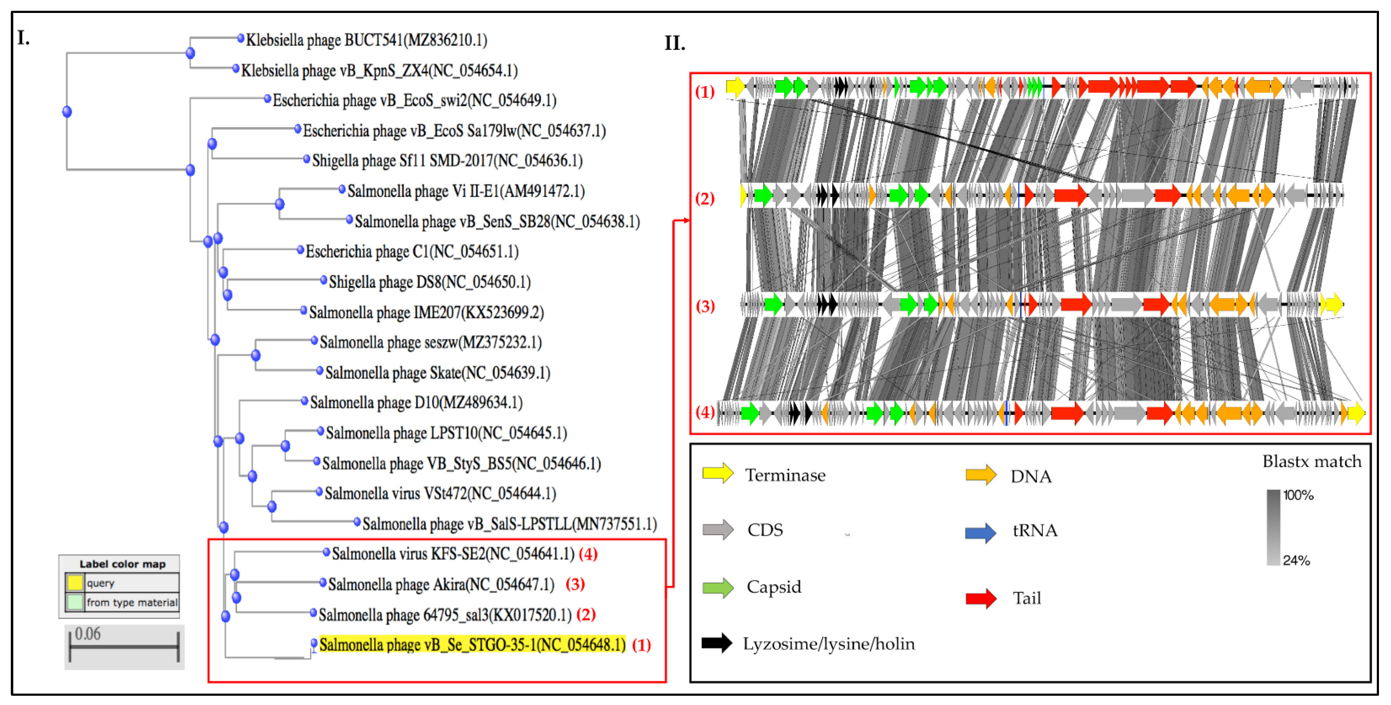 Microorganisms 10 00606 g004 Microorganisms 10 00606 g004
