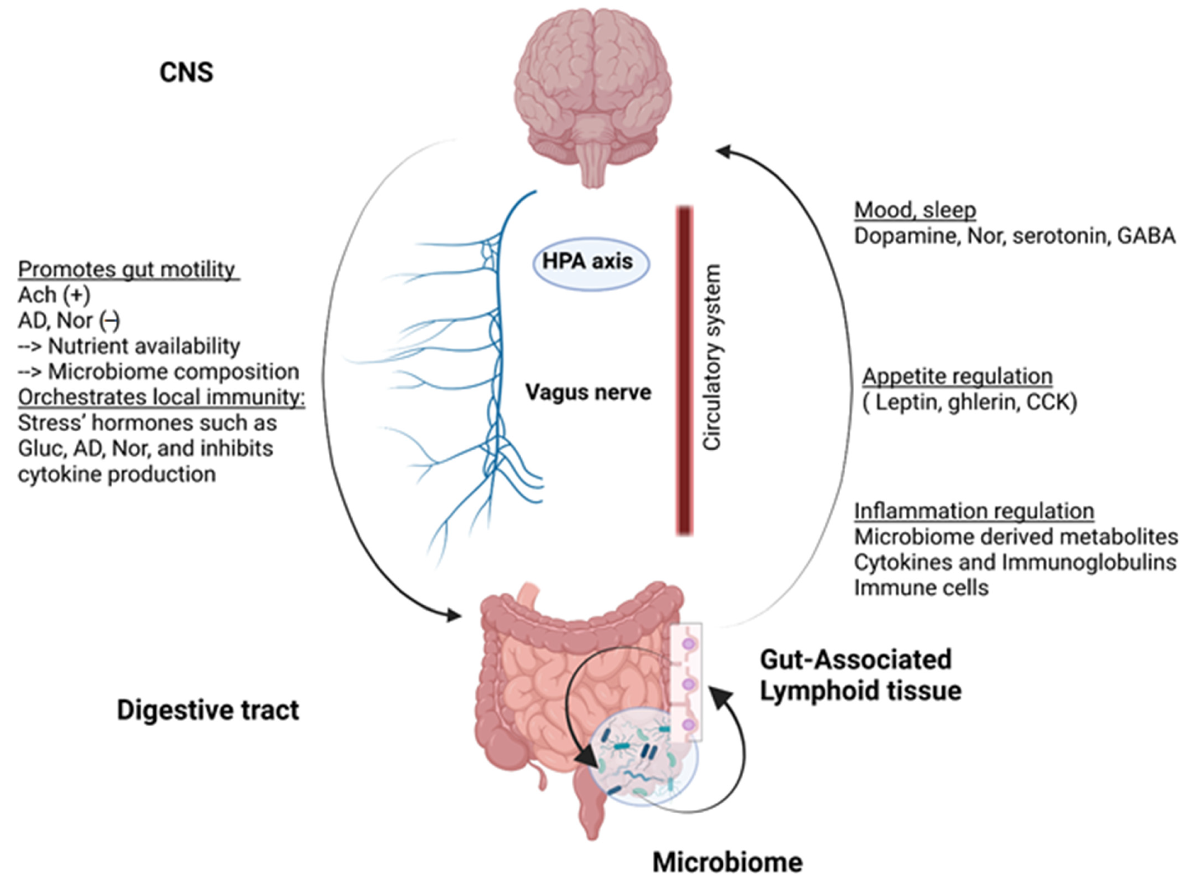 Microbial ecology perturbation in human IgA deficiency