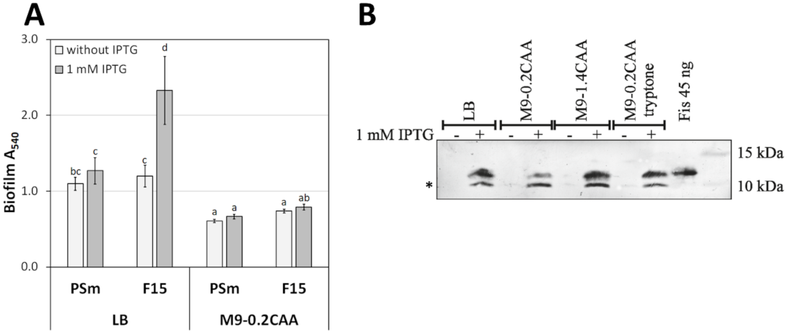 Microorganisms 10 00618 g001 550