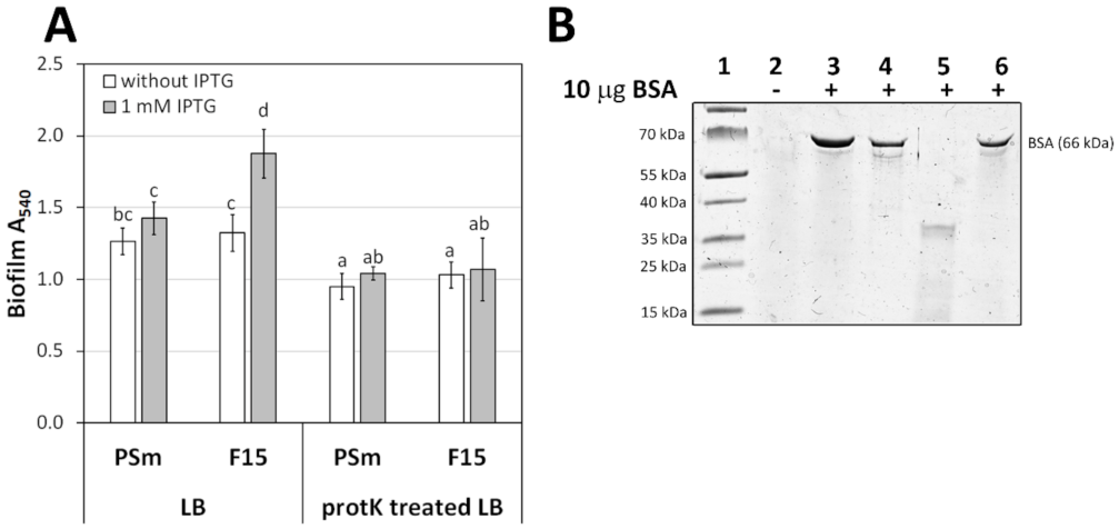 Microorganisms 10 00618 g003 550