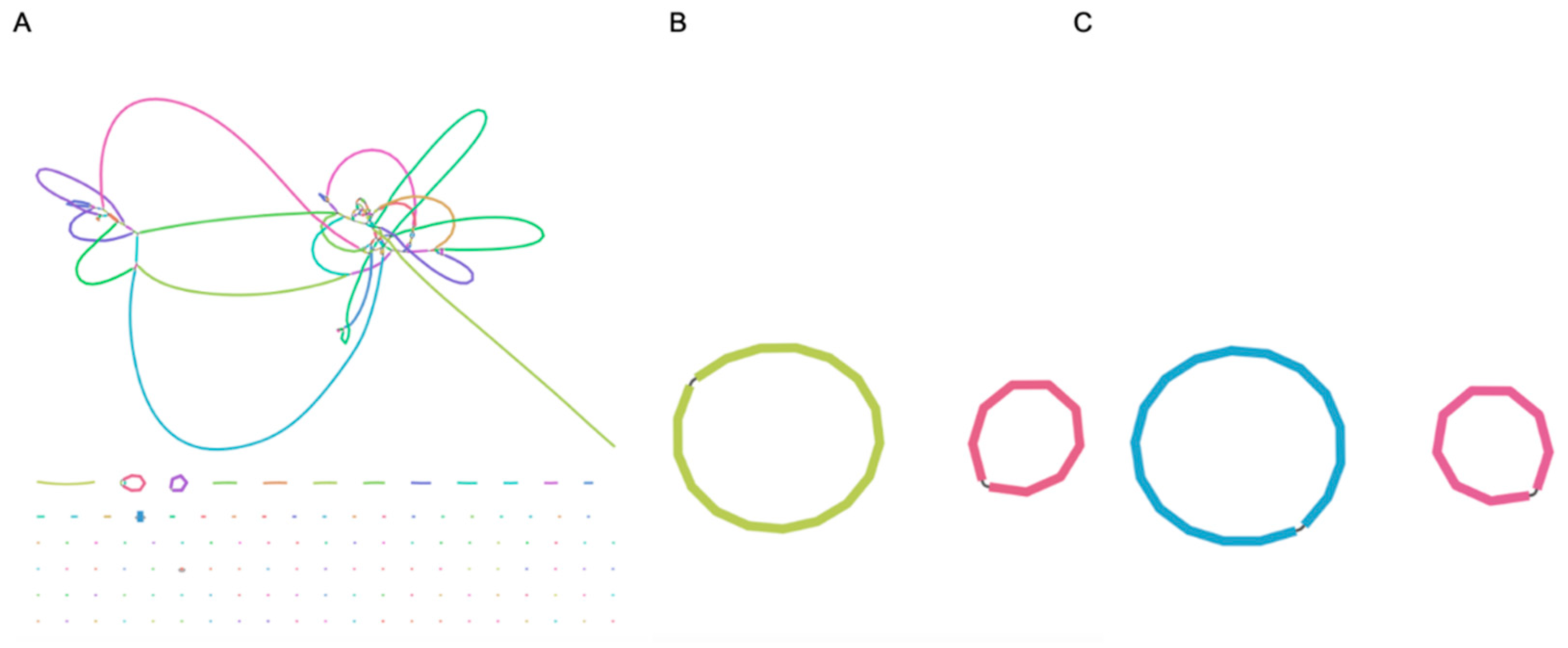 Microorganisms 10 00619 g002
