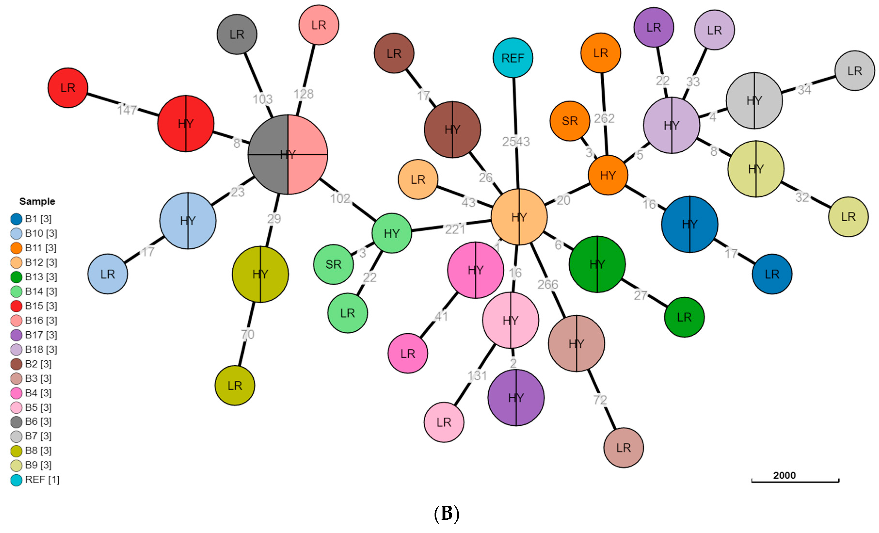 Microorganisms 10 00619 g003b