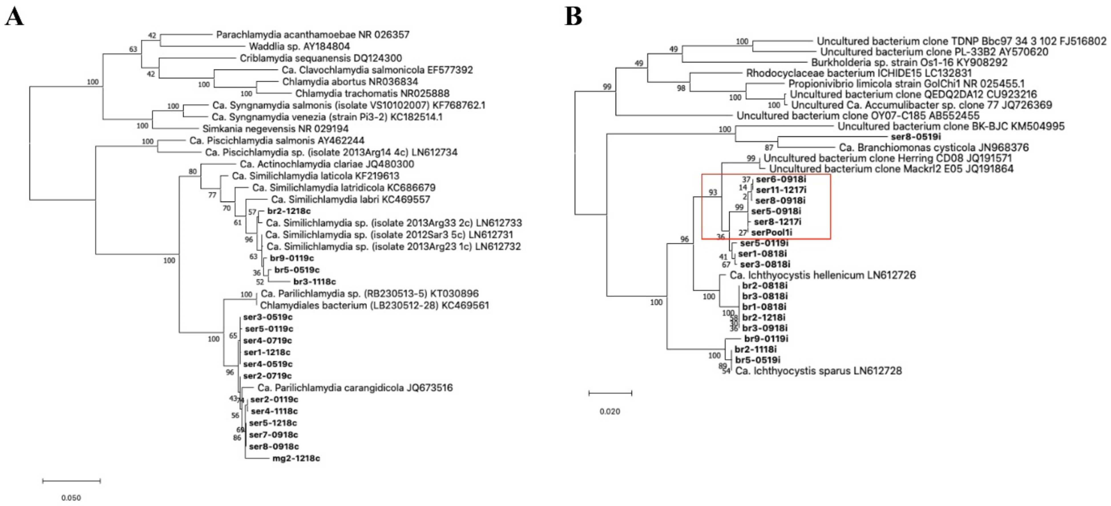 Microorganisms 10 00627 g003