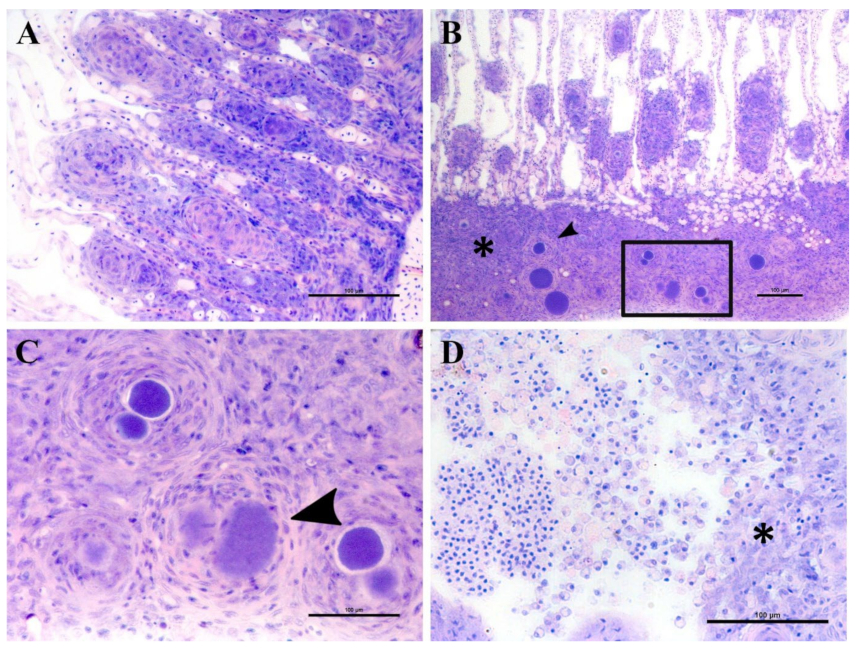 Microorganisms 10 00627 g004