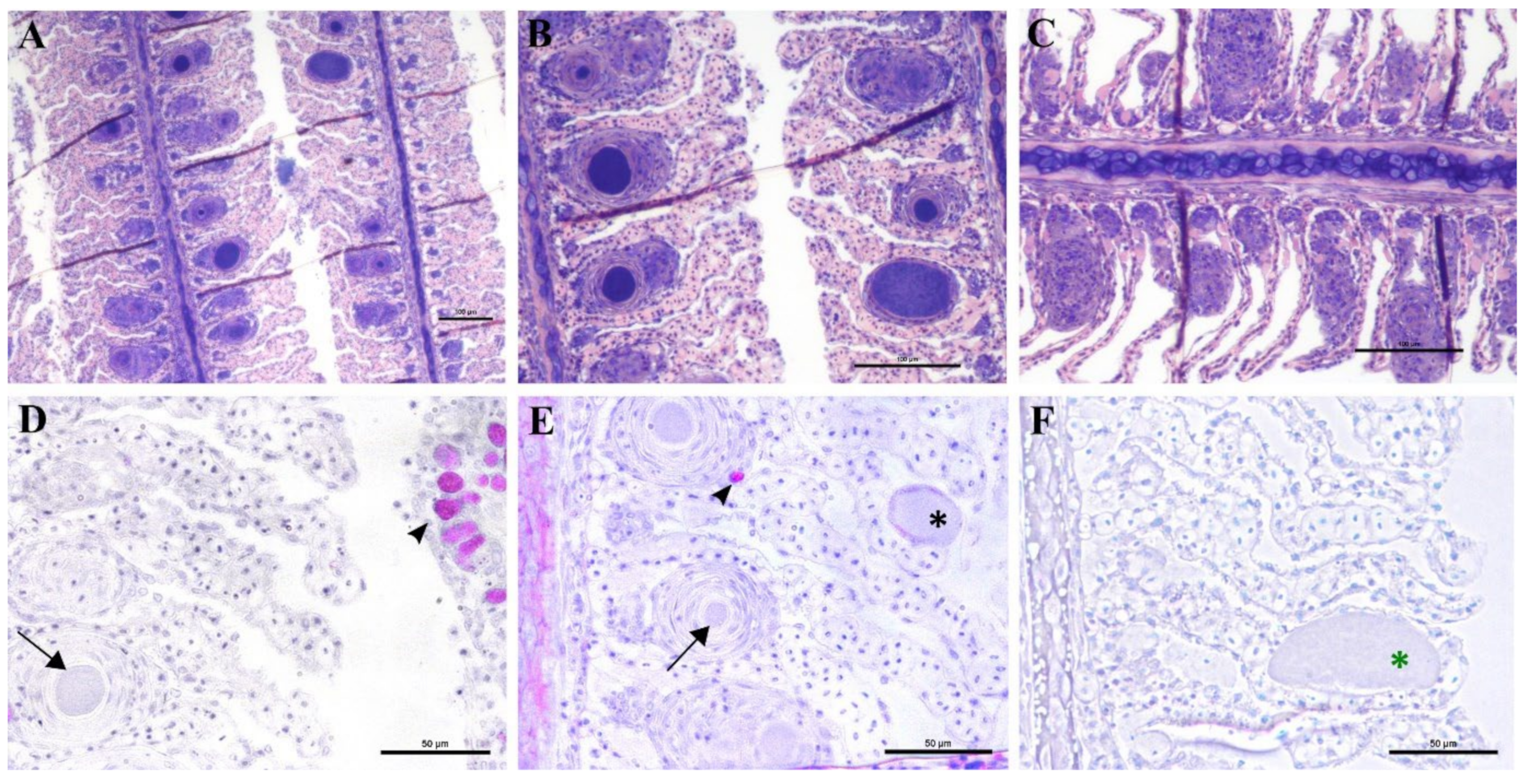 Microorganisms 10 00627 g006