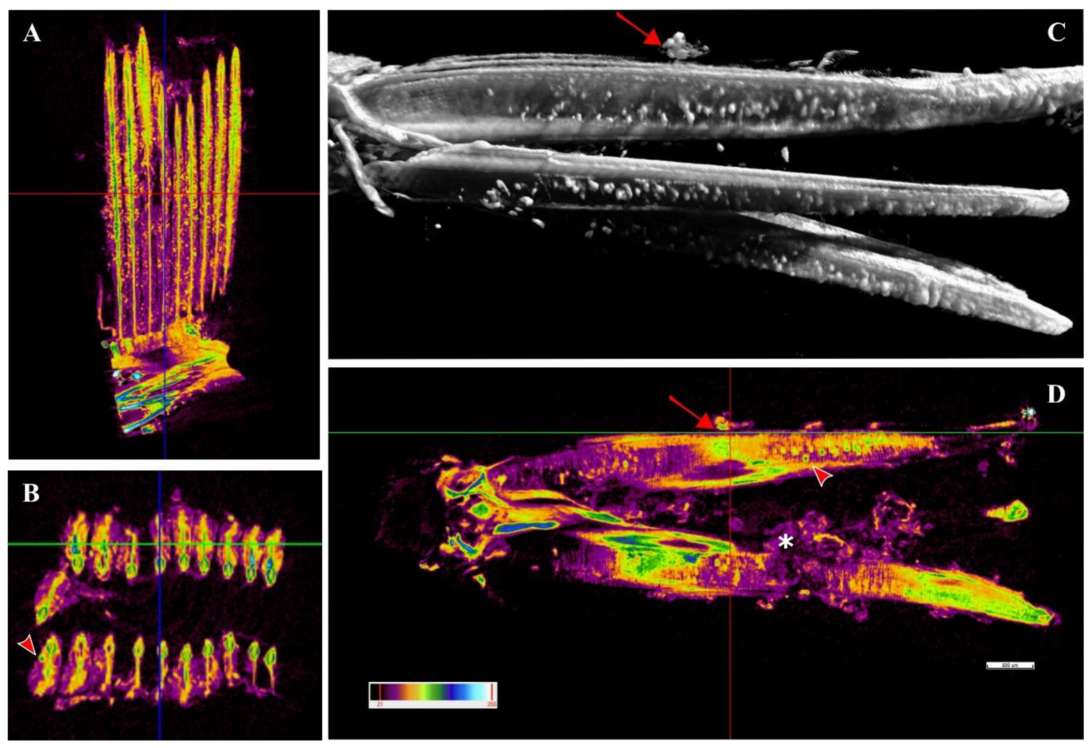 Microorganisms 10 00627 g008
