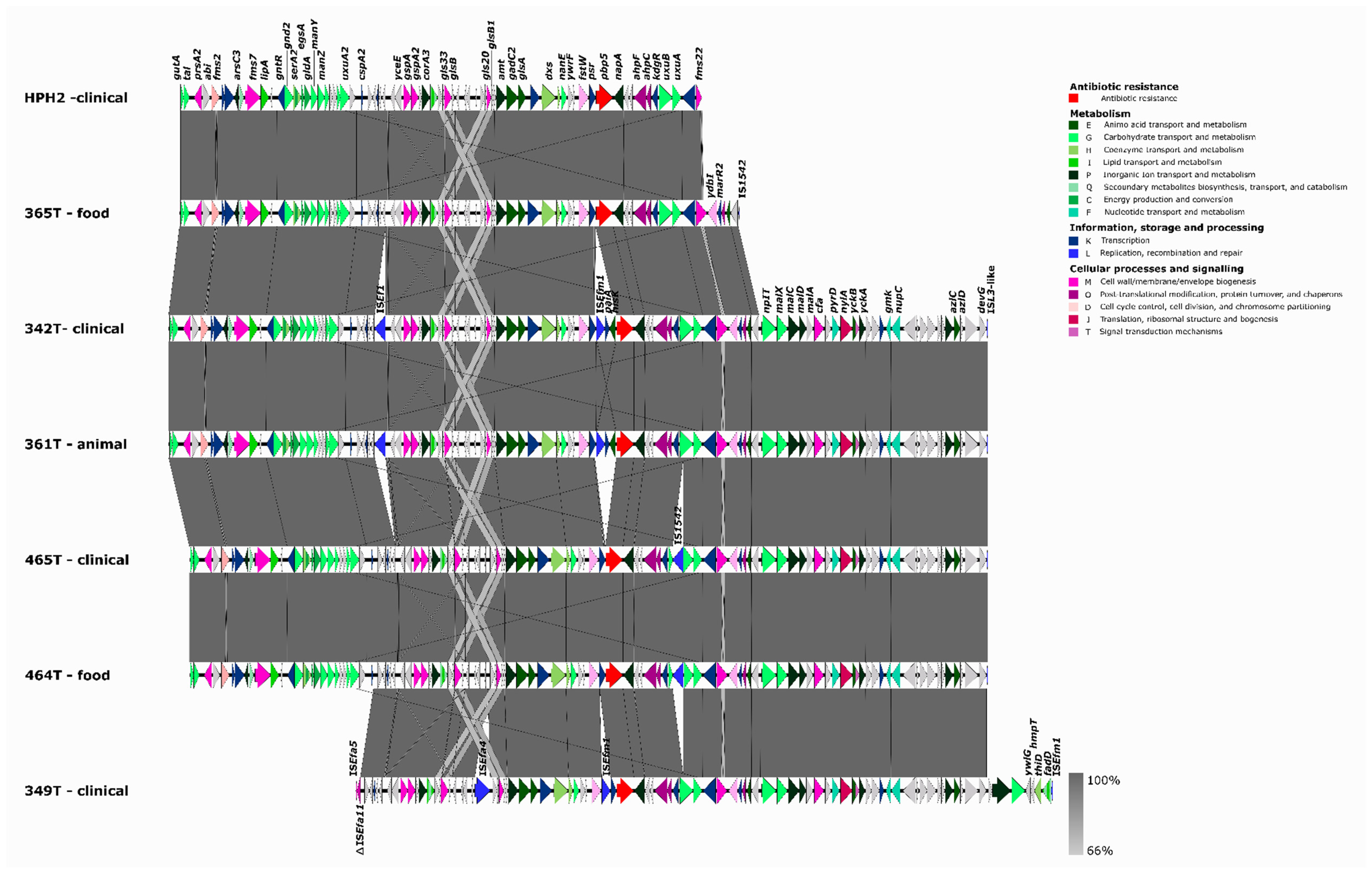 Microorganisms 10 00632 g002