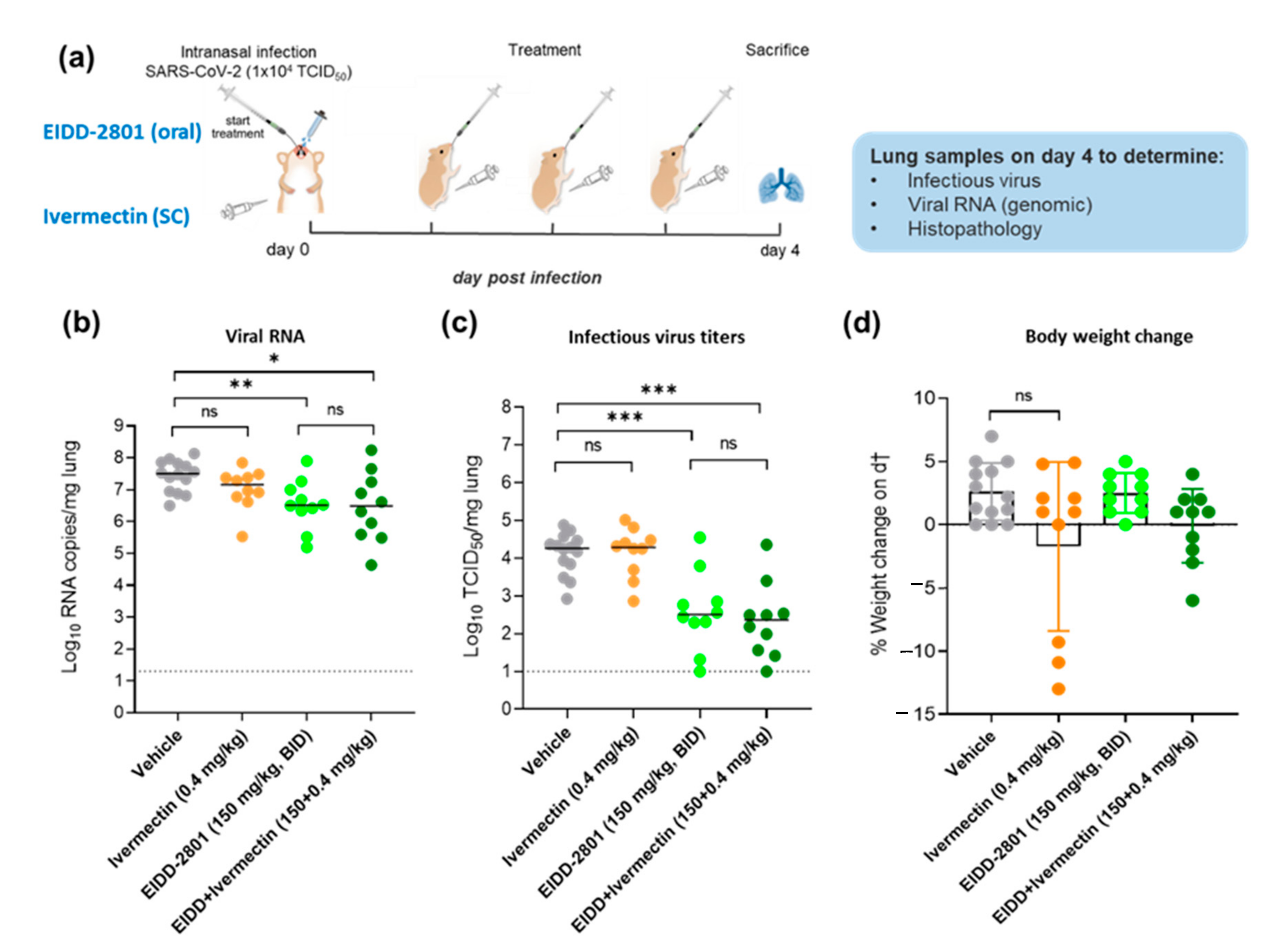 Microorganisms 10 00633 g001