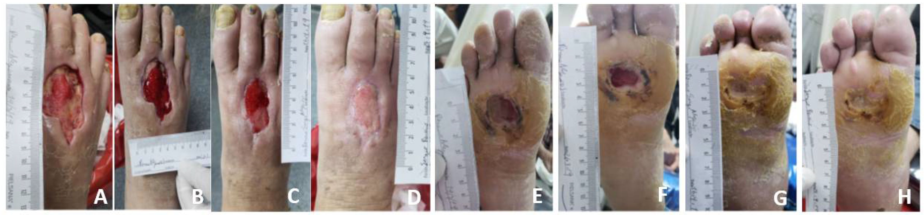 Microorganisms 10 00634 g001 550