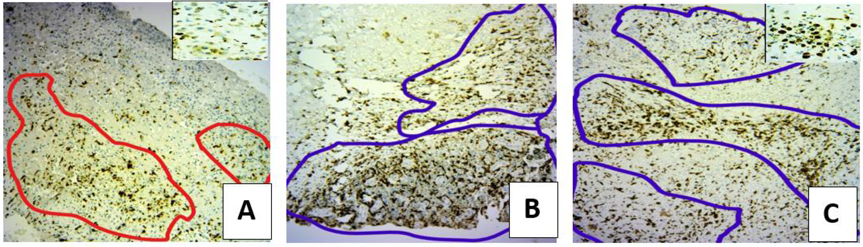 Microorganisms 10 00634 g005 550