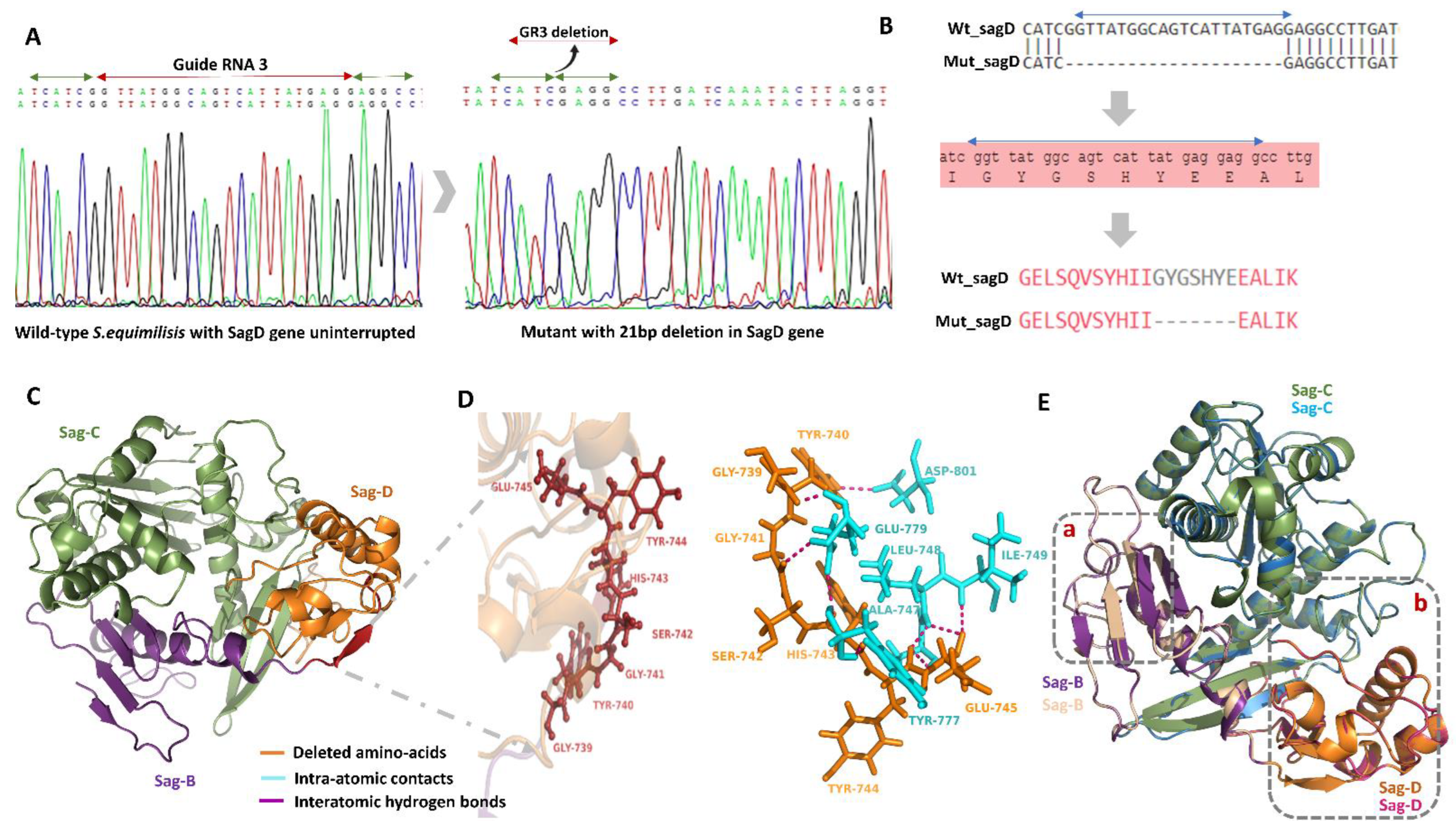 Microorganisms 10 00635 g002