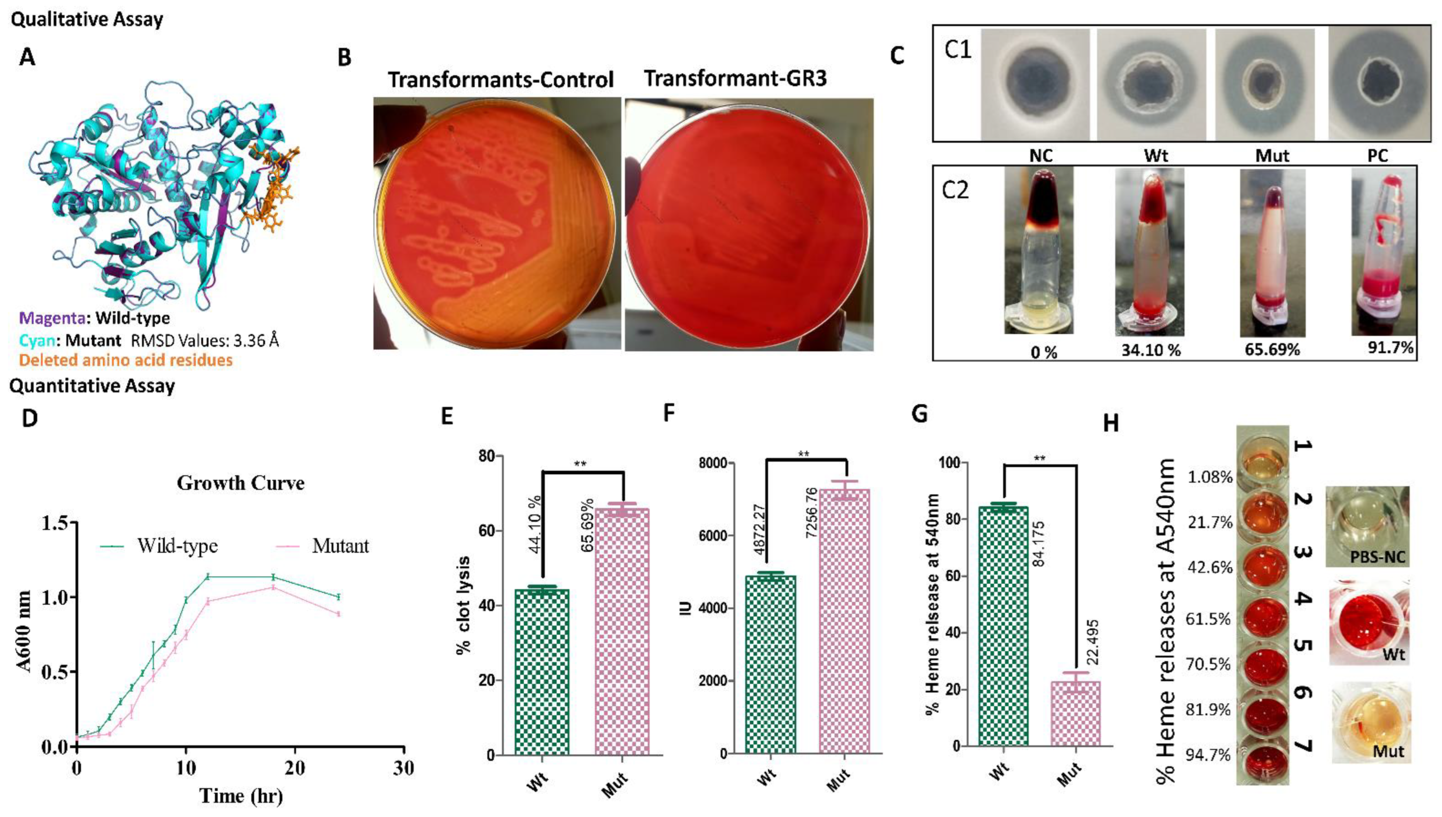 Microorganisms 10 00635 g003