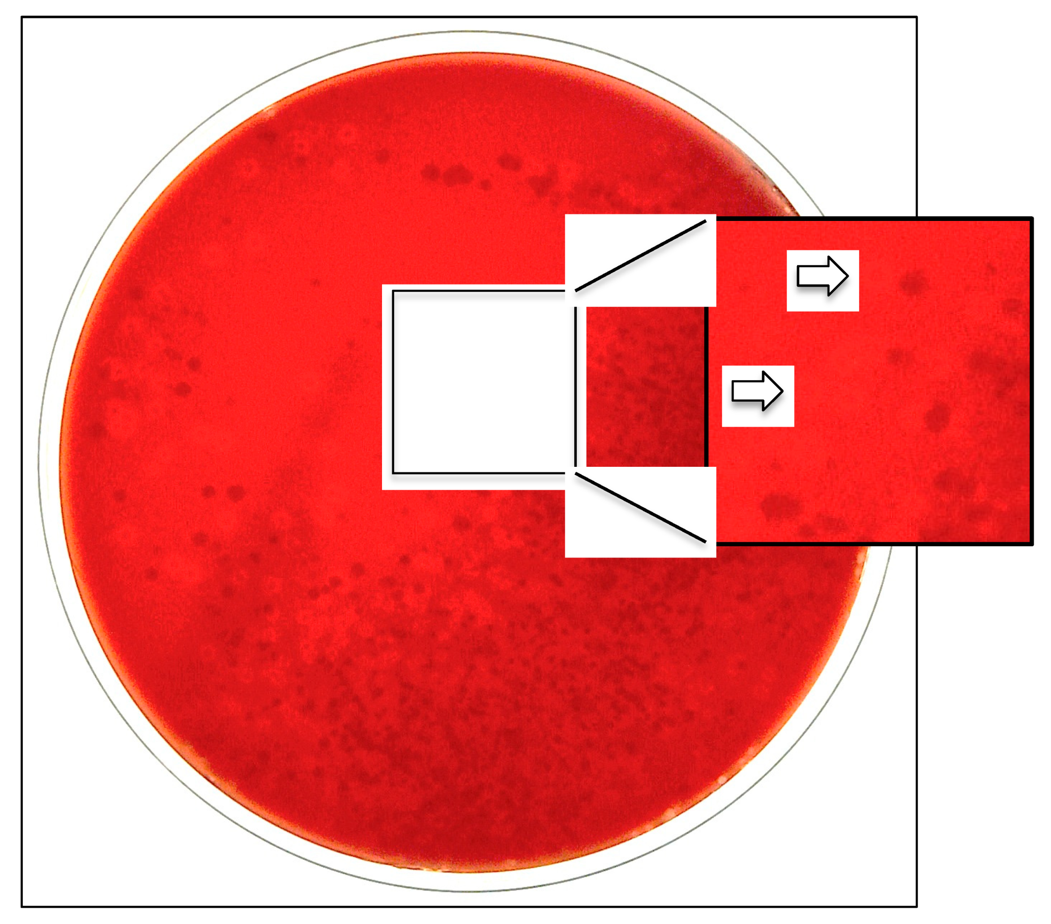 Microorganisms 10 00637 g002 Microorganisms 10 00637 g002