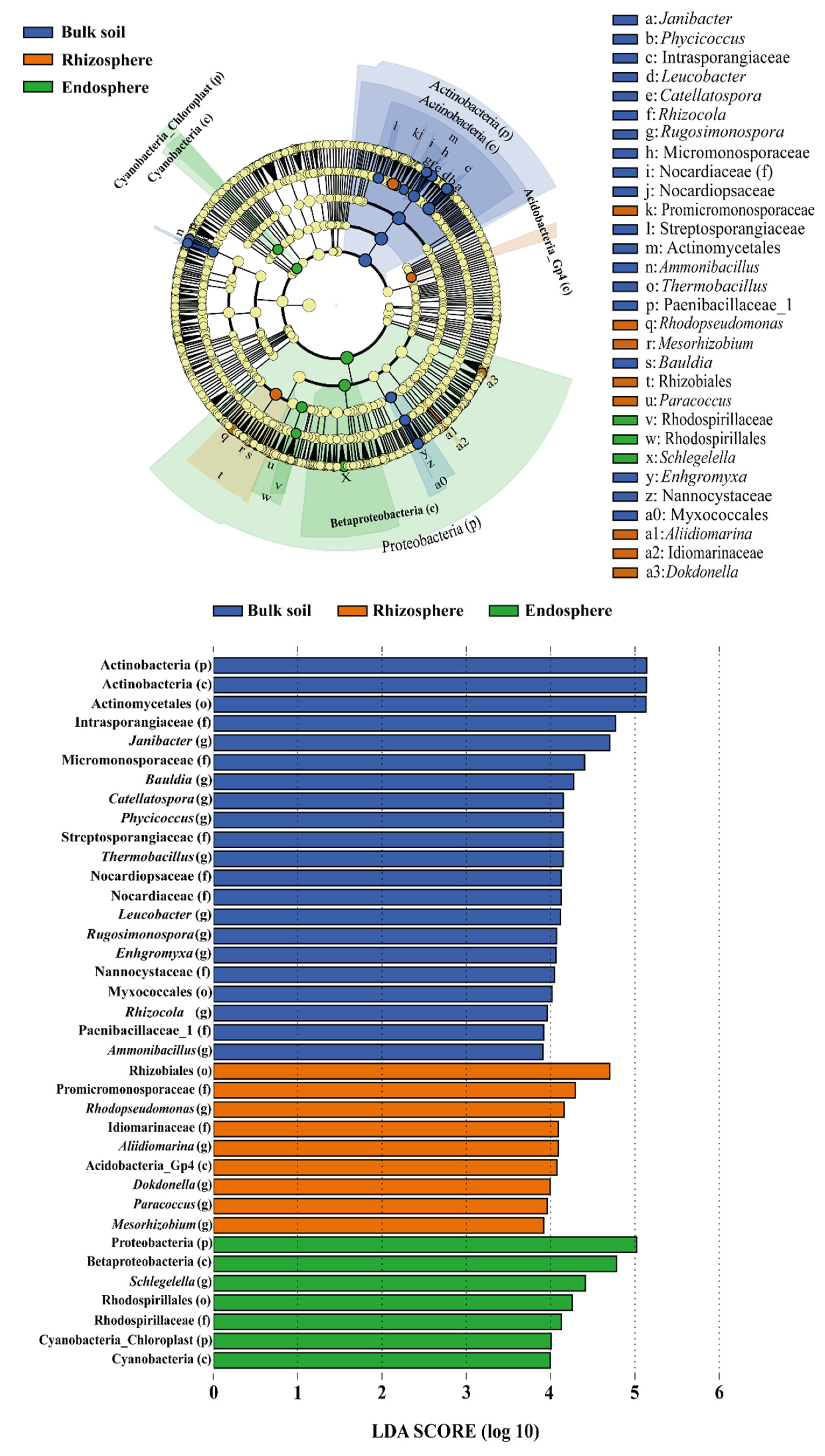Microorganisms 10 00638 g003