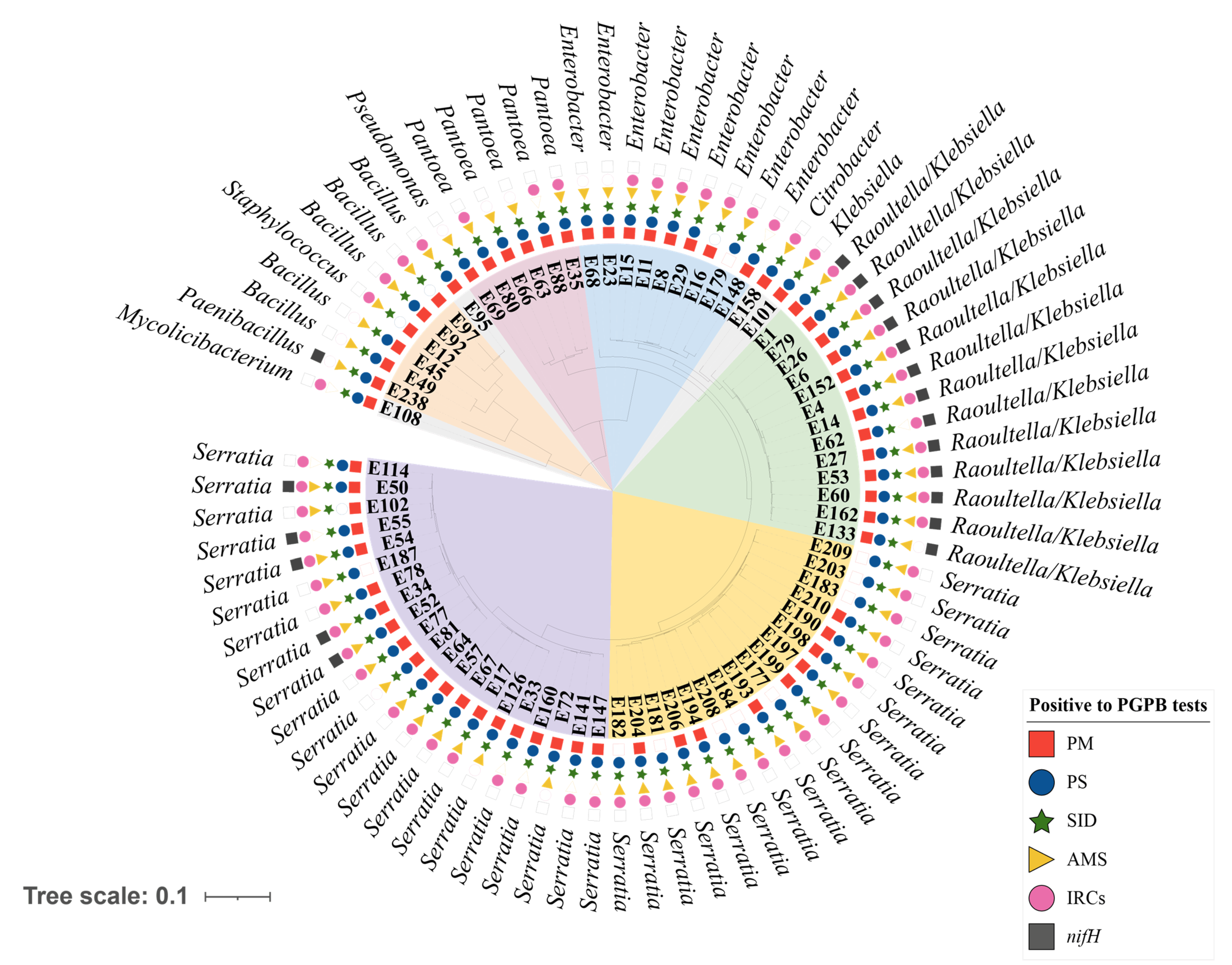 Microorganisms 10 00638 g004