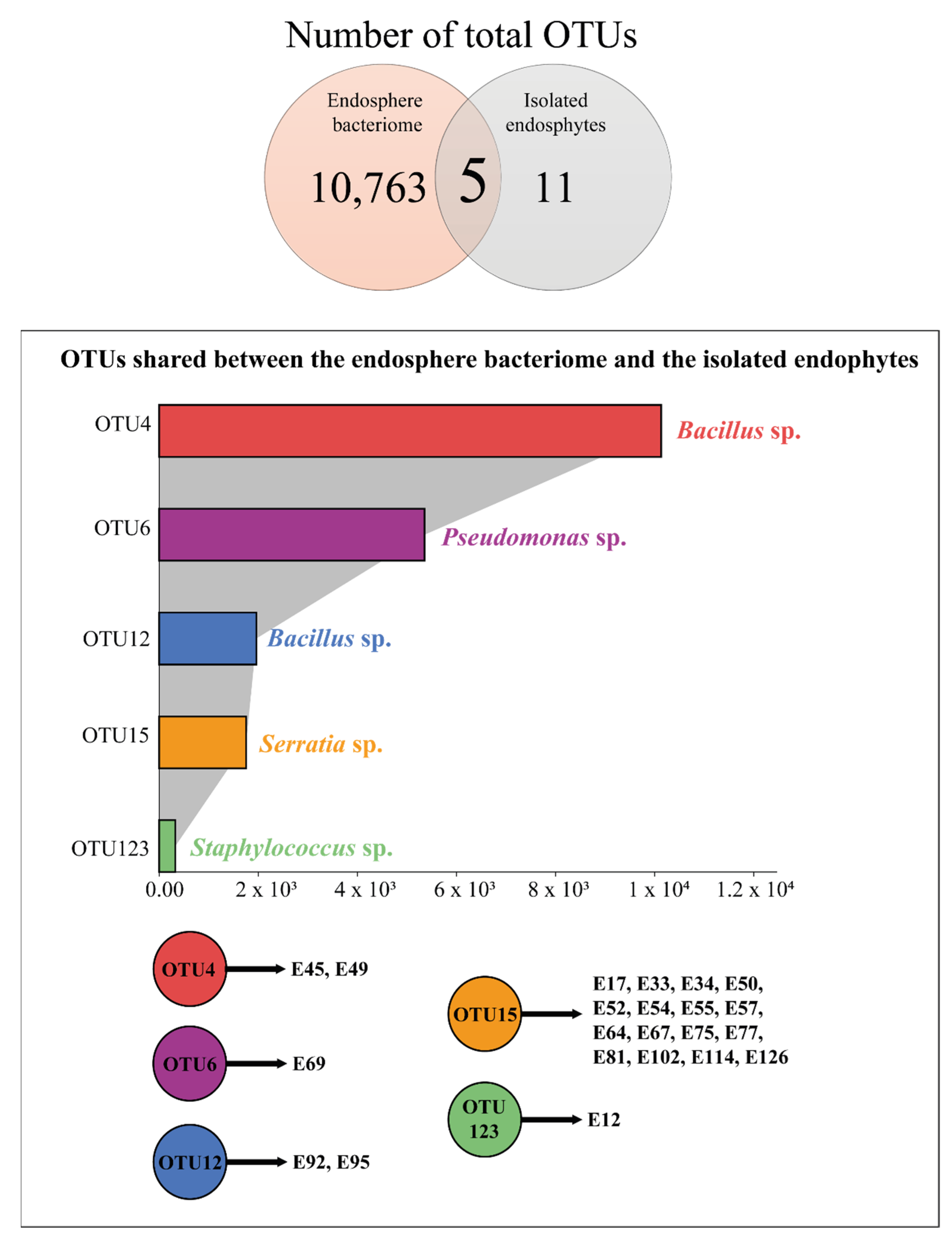 Microorganisms 10 00638 g005