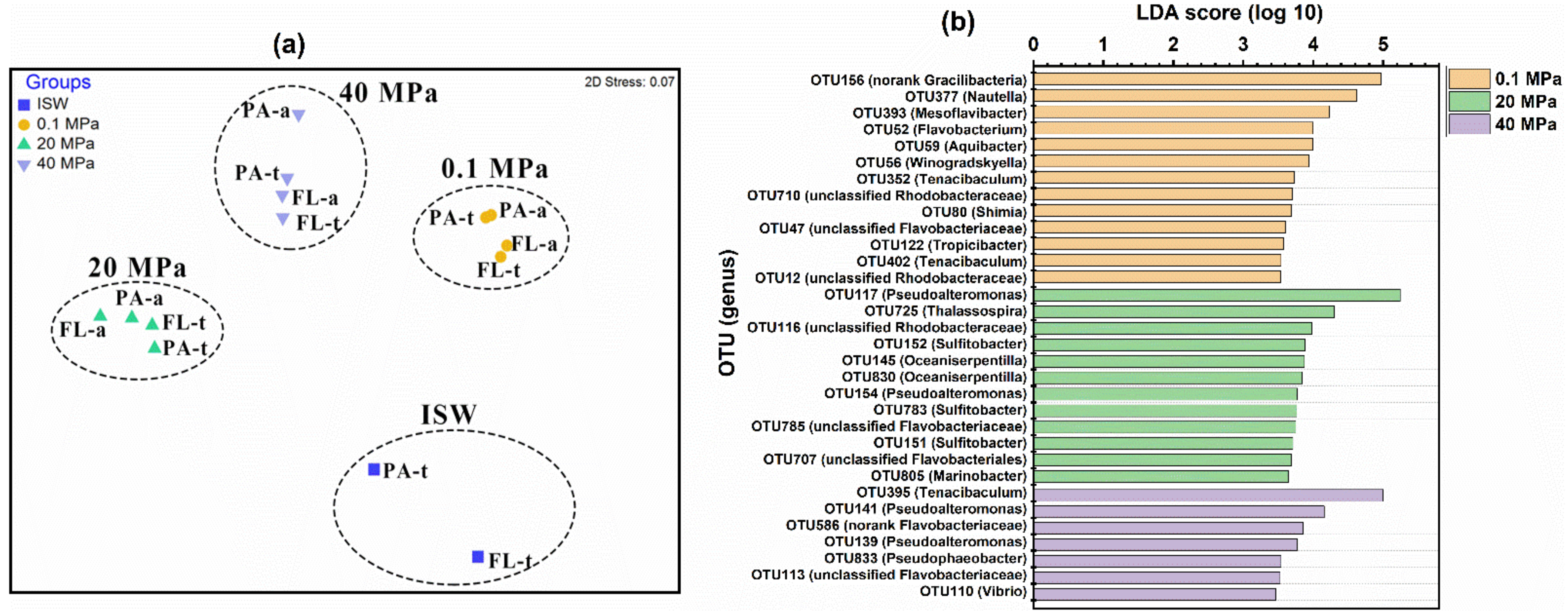 Microorganisms 10 00639 g002