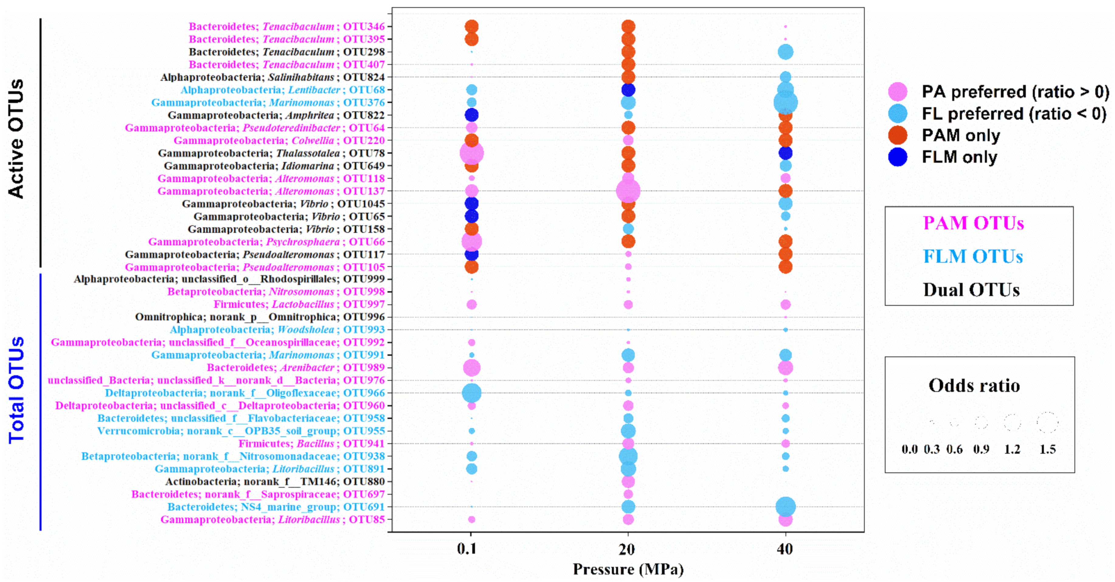 Microorganisms 10 00639 g004