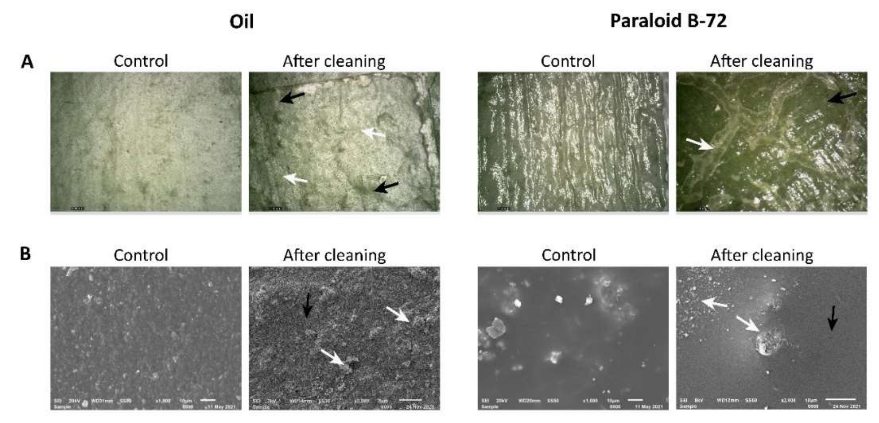 Microorganisms 10 00644 g010 Microorganisms 10 00644 g010